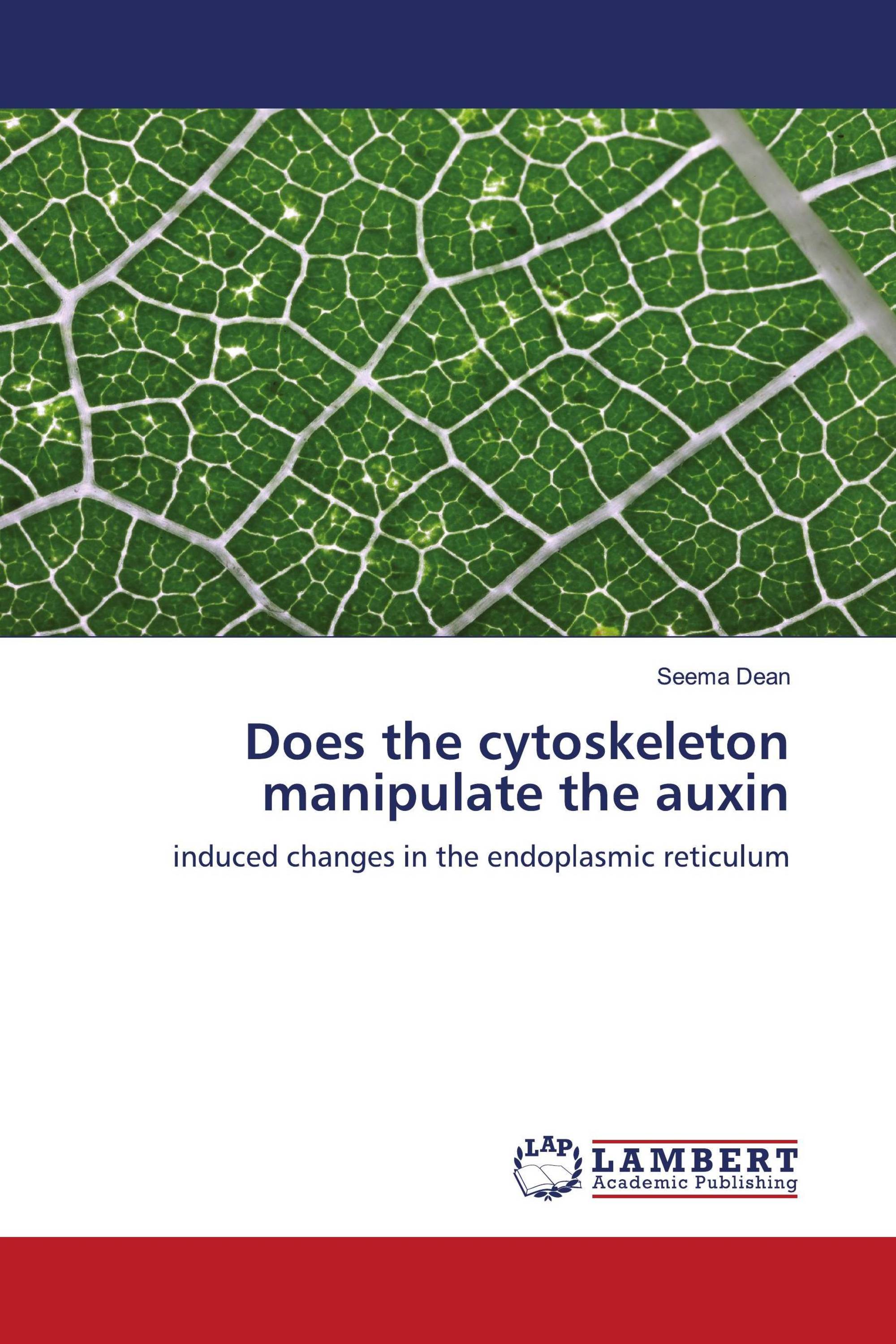 Does the cytoskeleton manipulate the auxin