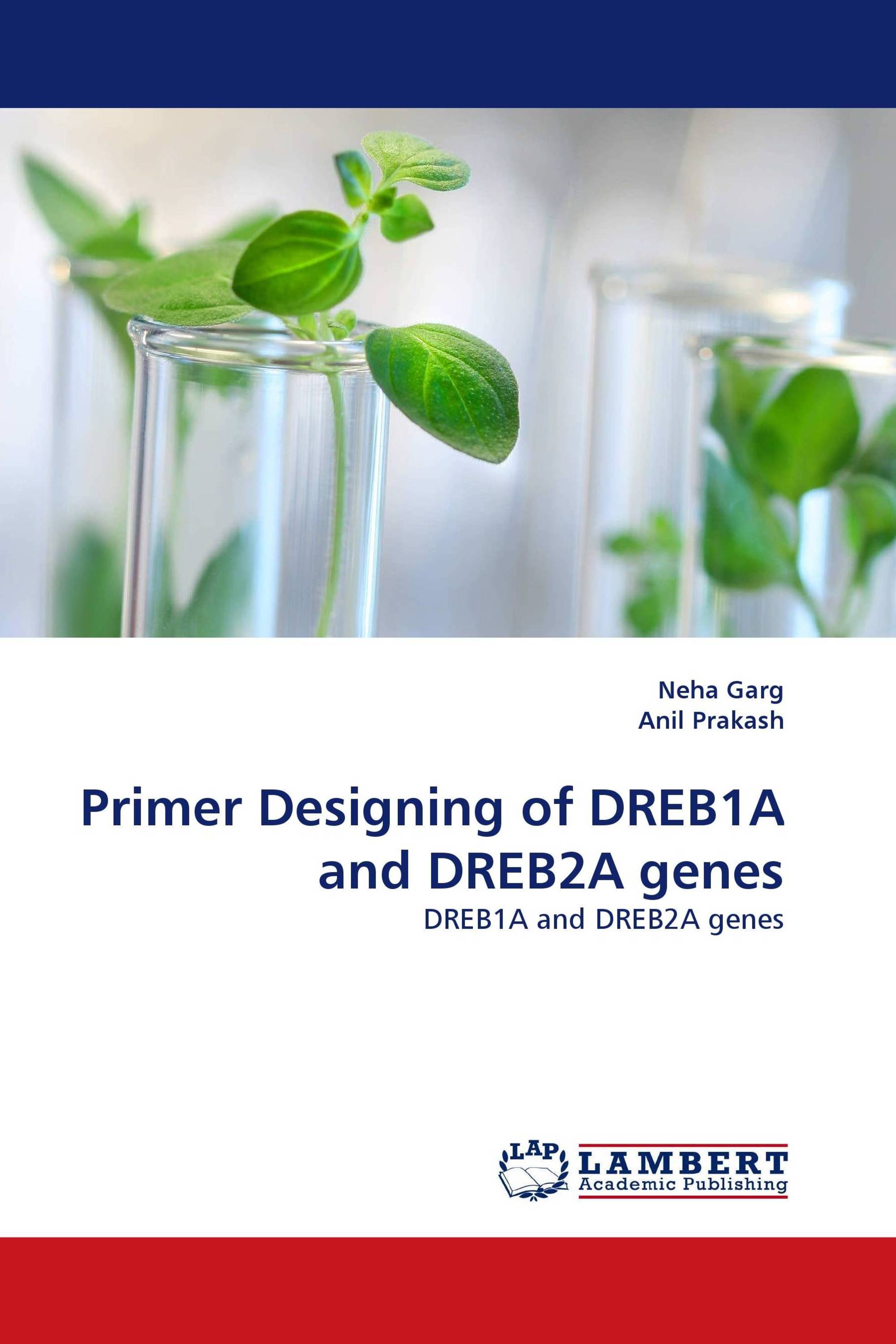 Primer Designing of DREB1A and DREB2A genes