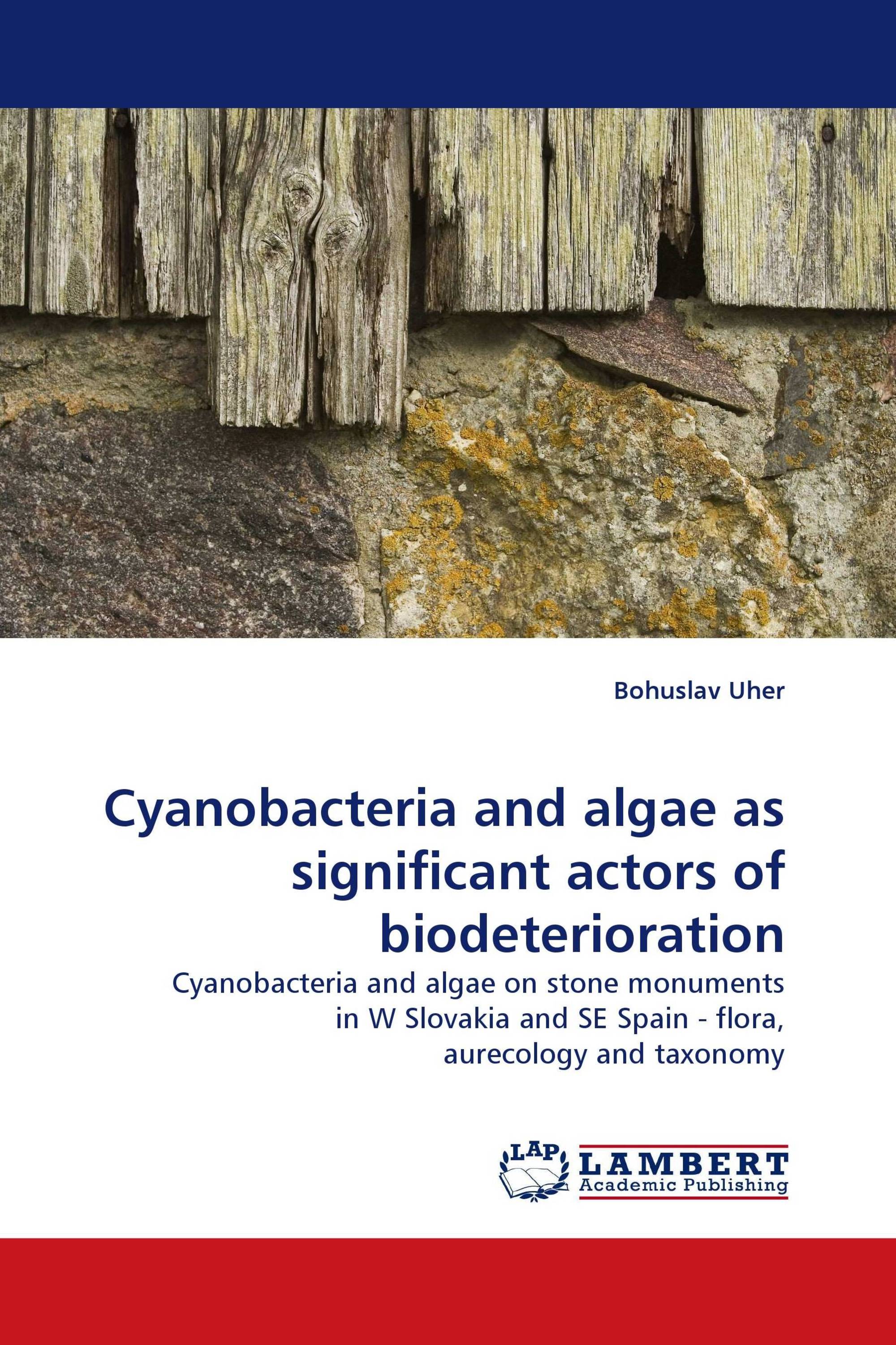 Cyanobacteria and algae as significant actors of biodeterioration