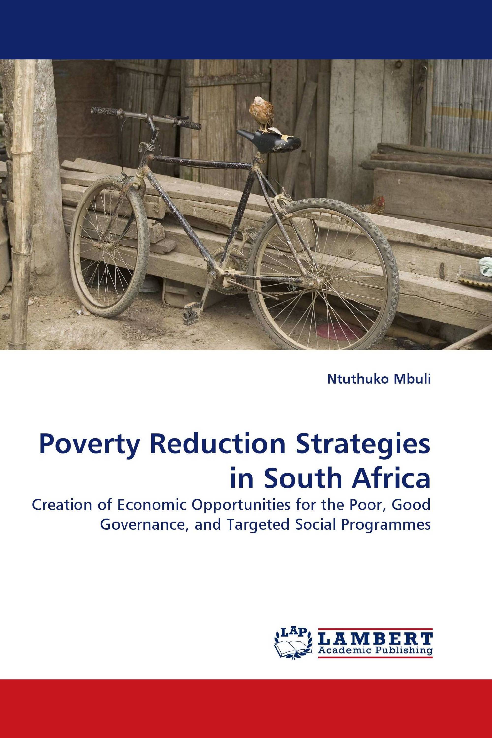 Poverty Reduction Strategies in South Africa