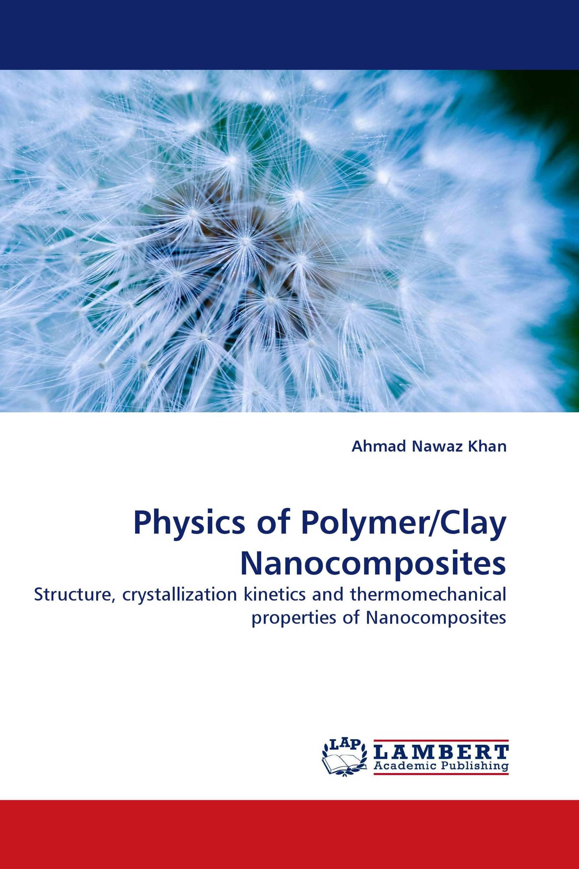 Physics of Polymer/Clay Nanocomposites