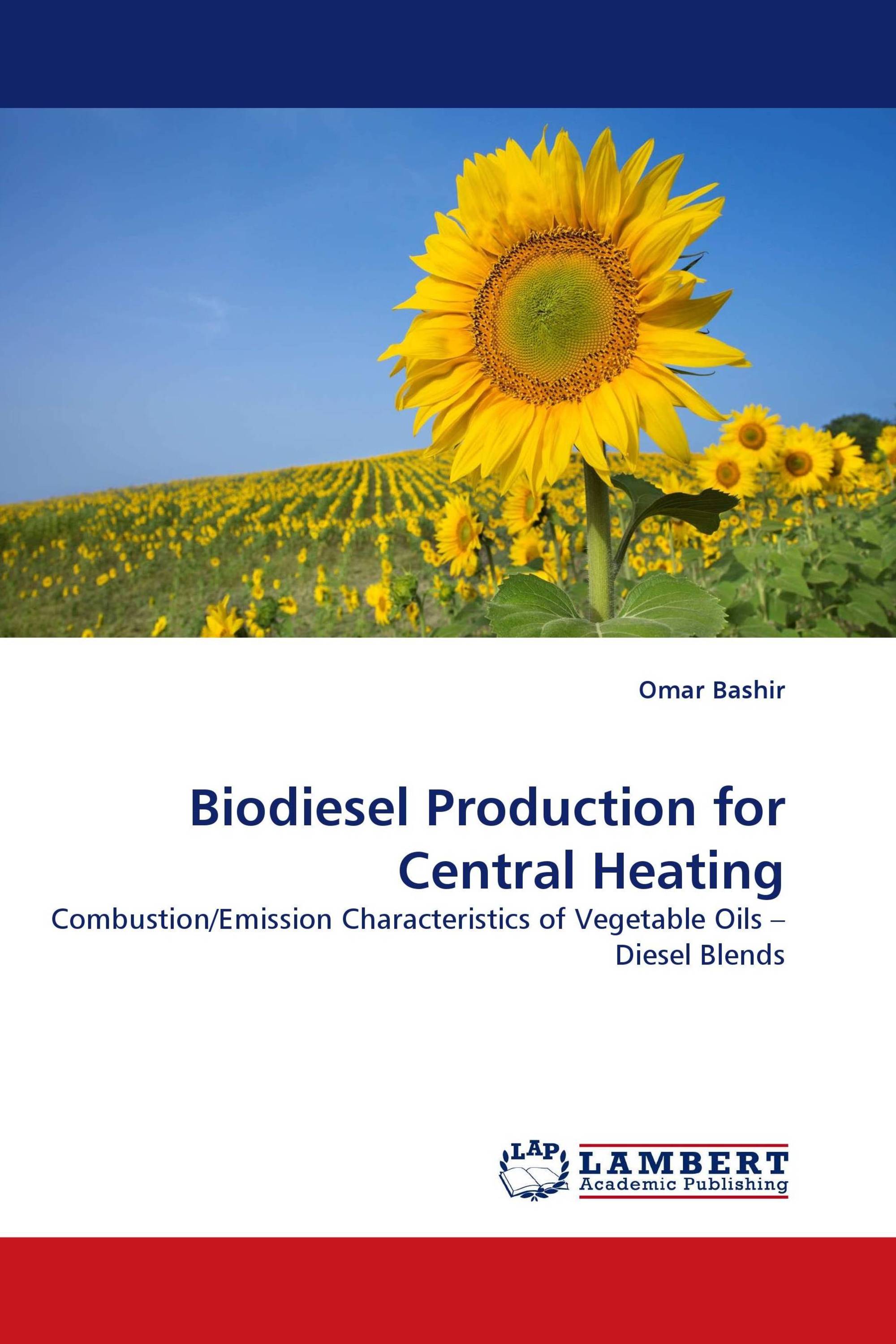 Biodiesel Production for Central Heating