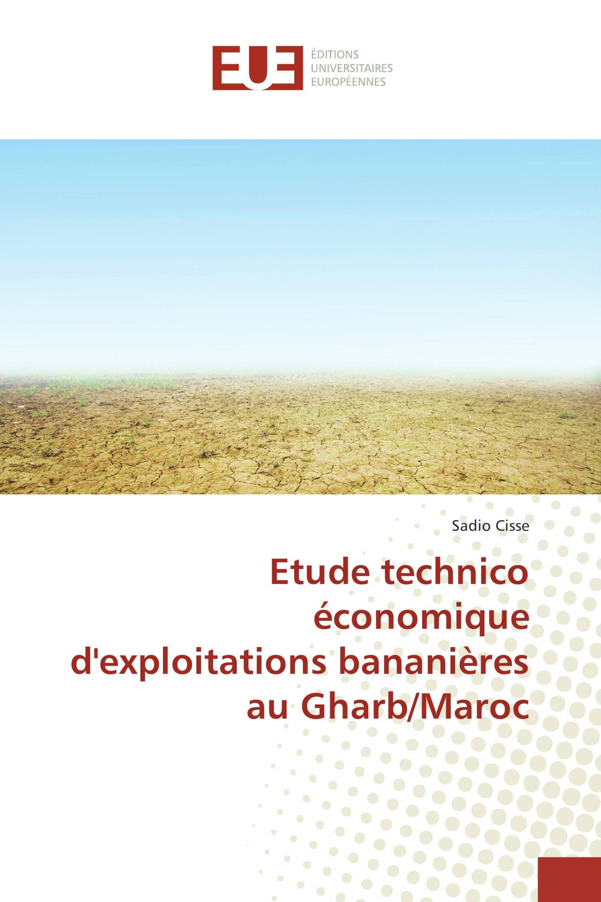 Etude technico économique d'exploitations bananières au Gharb/Maroc