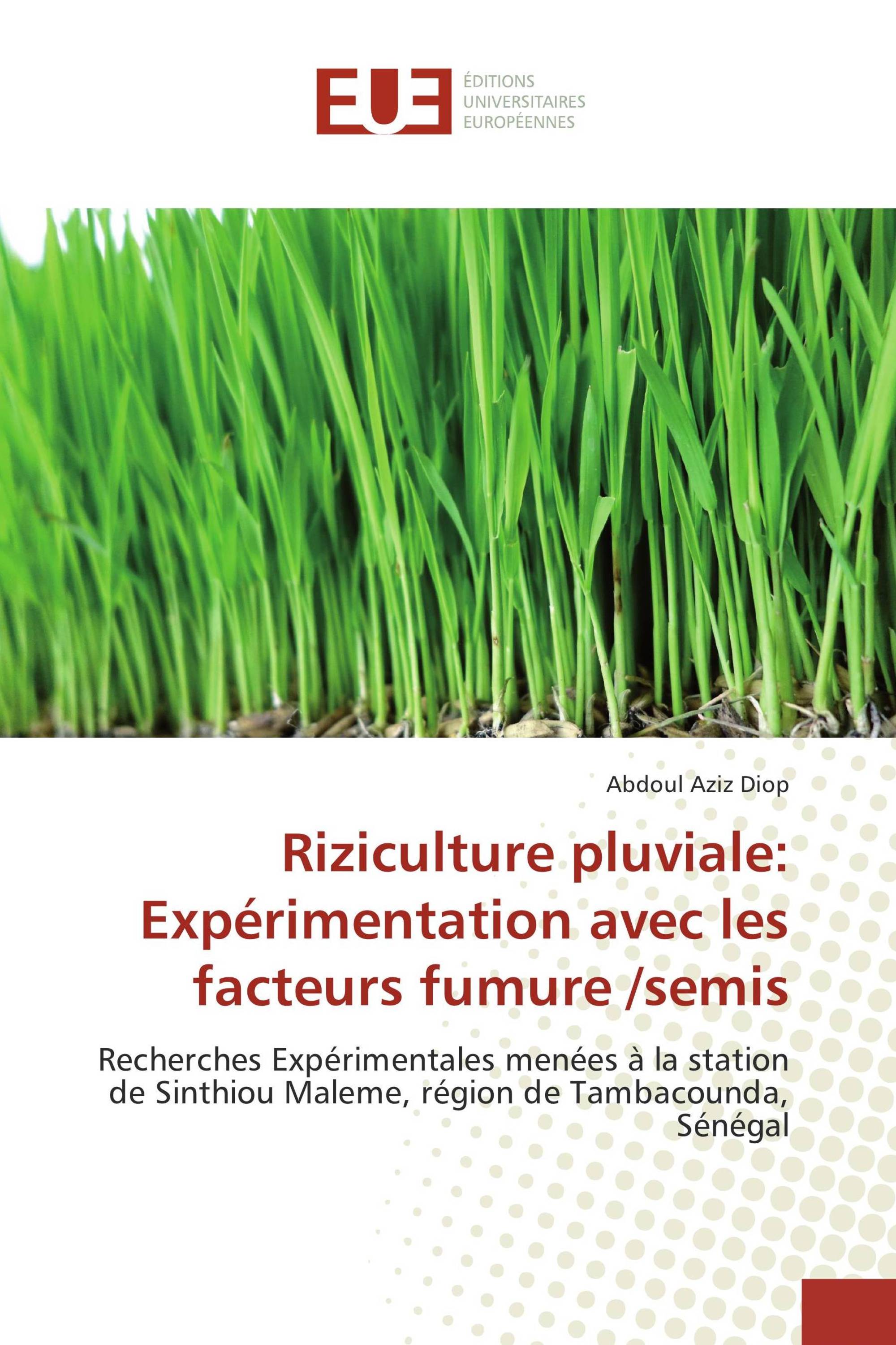 Riziculture pluviale: Expérimentation avec les facteurs fumure /semis