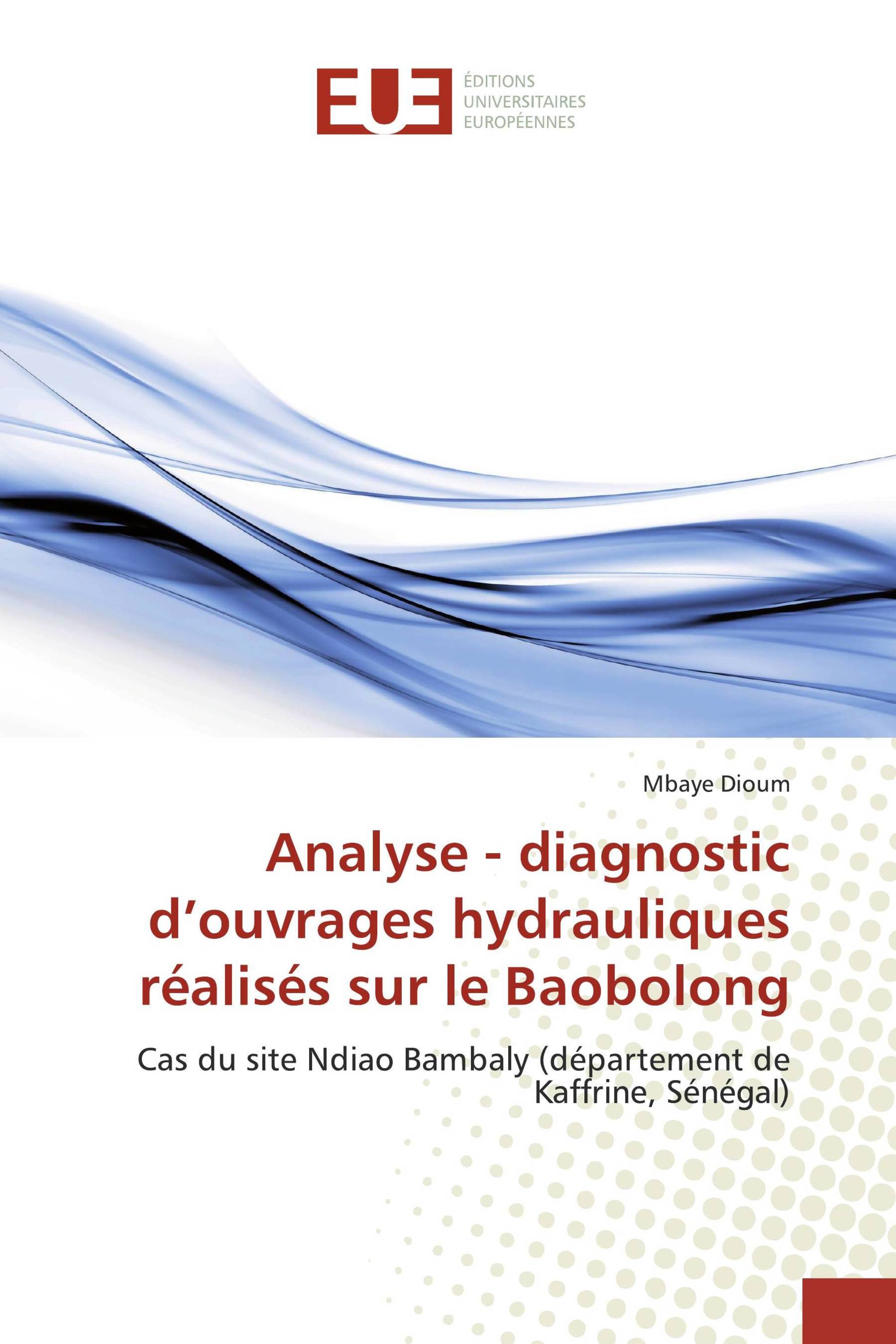 Analyse - diagnostic d’ouvrages hydrauliques réalisés sur le Baobolong