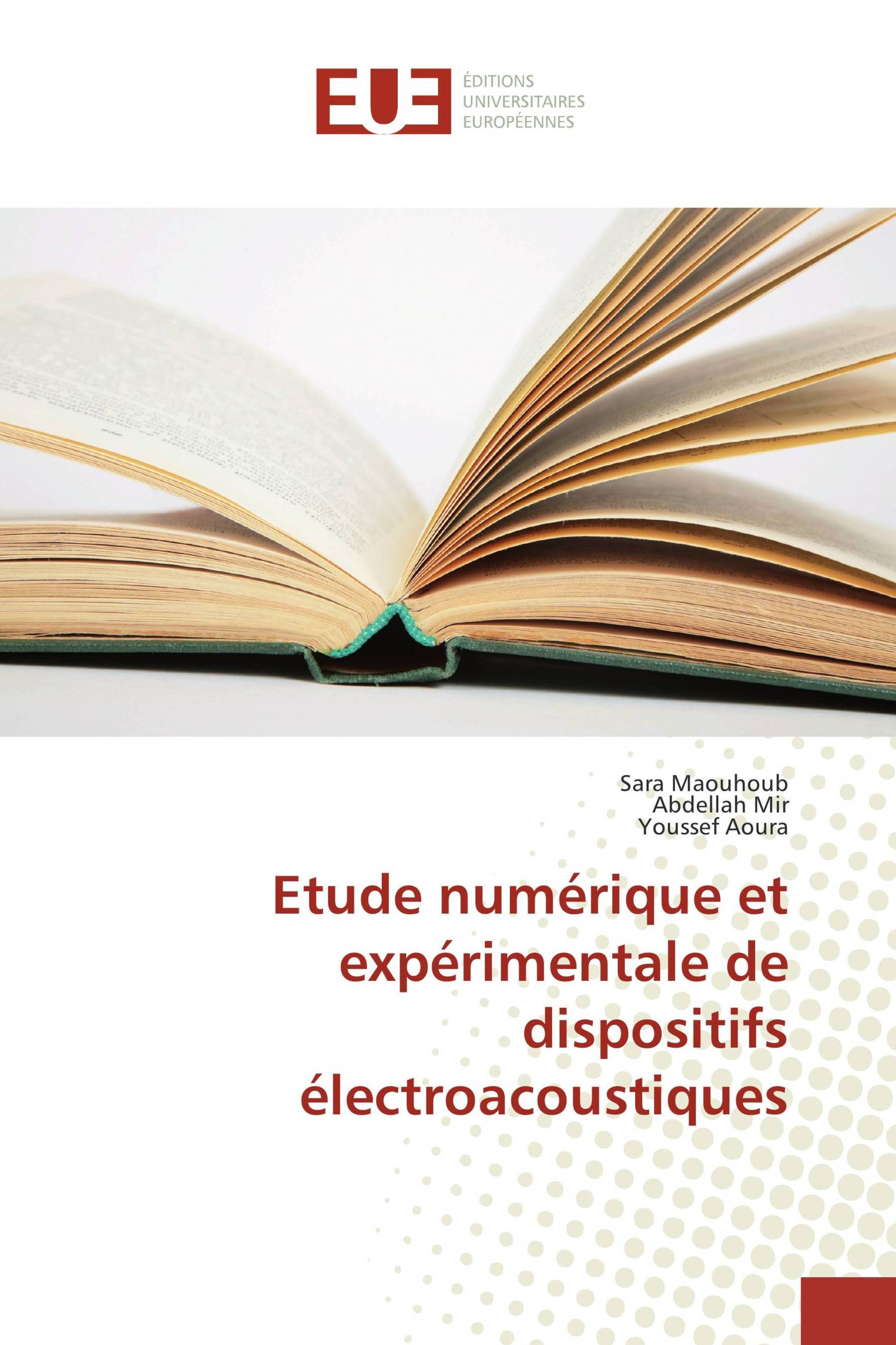 Etude numérique et expérimentale de dispositifs électroacoustiques