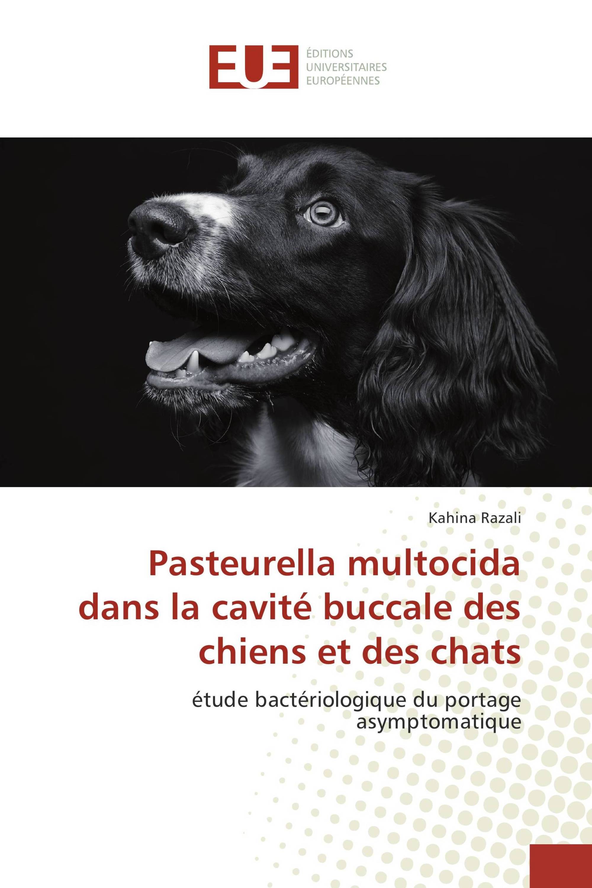 Pasteurella multocida dans la cavité buccale des chiens et des chats