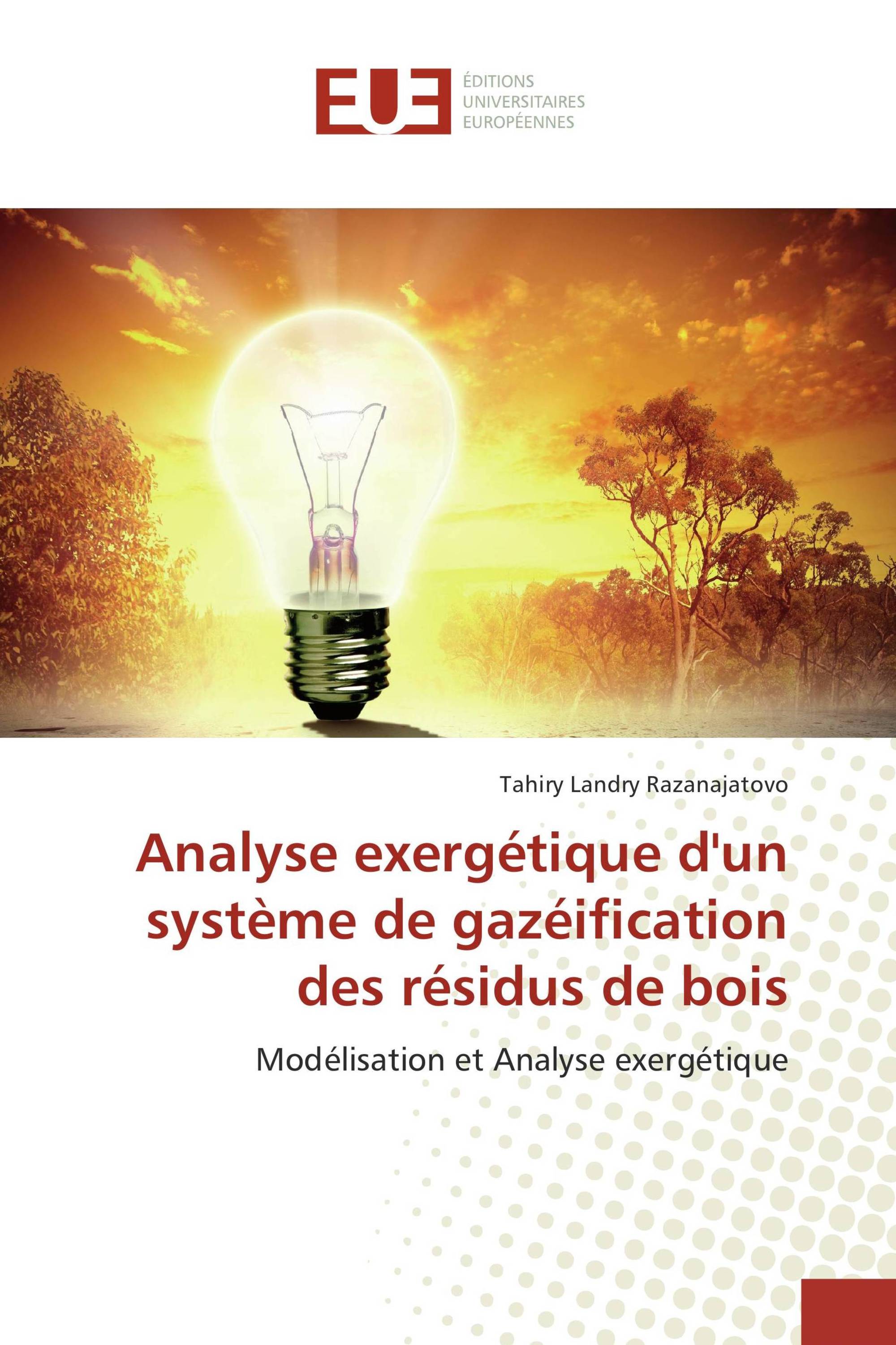 Analyse exergétique d'un système de gazéification des résidus de bois