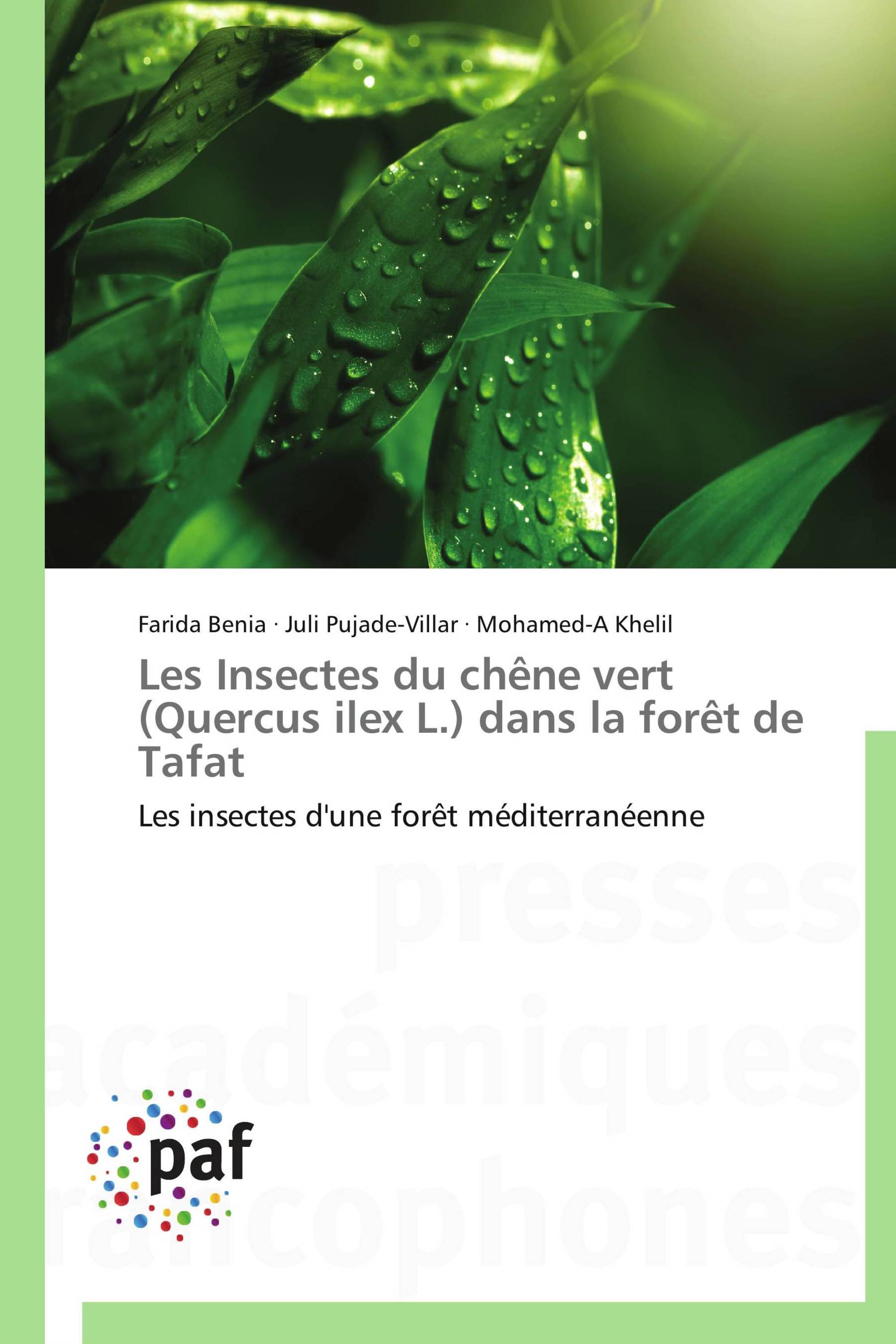 Les Insectes du chêne vert (Quercus ilex L.) dans la forêt de Tafat