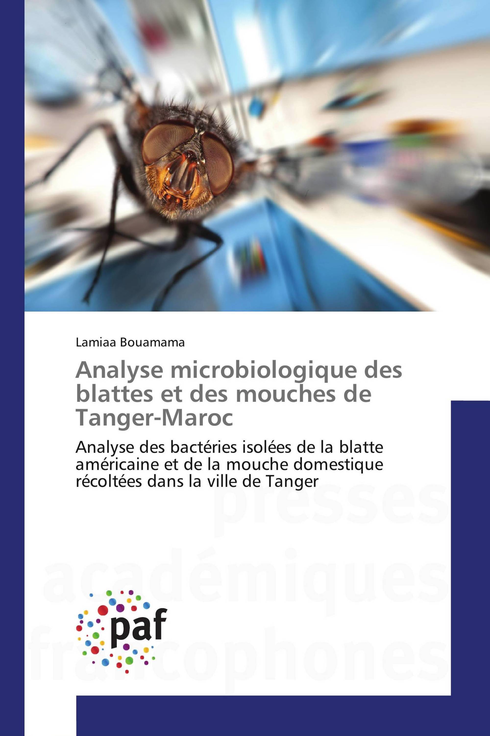 Analyse microbiologique des blattes et des mouches de Tanger-Maroc