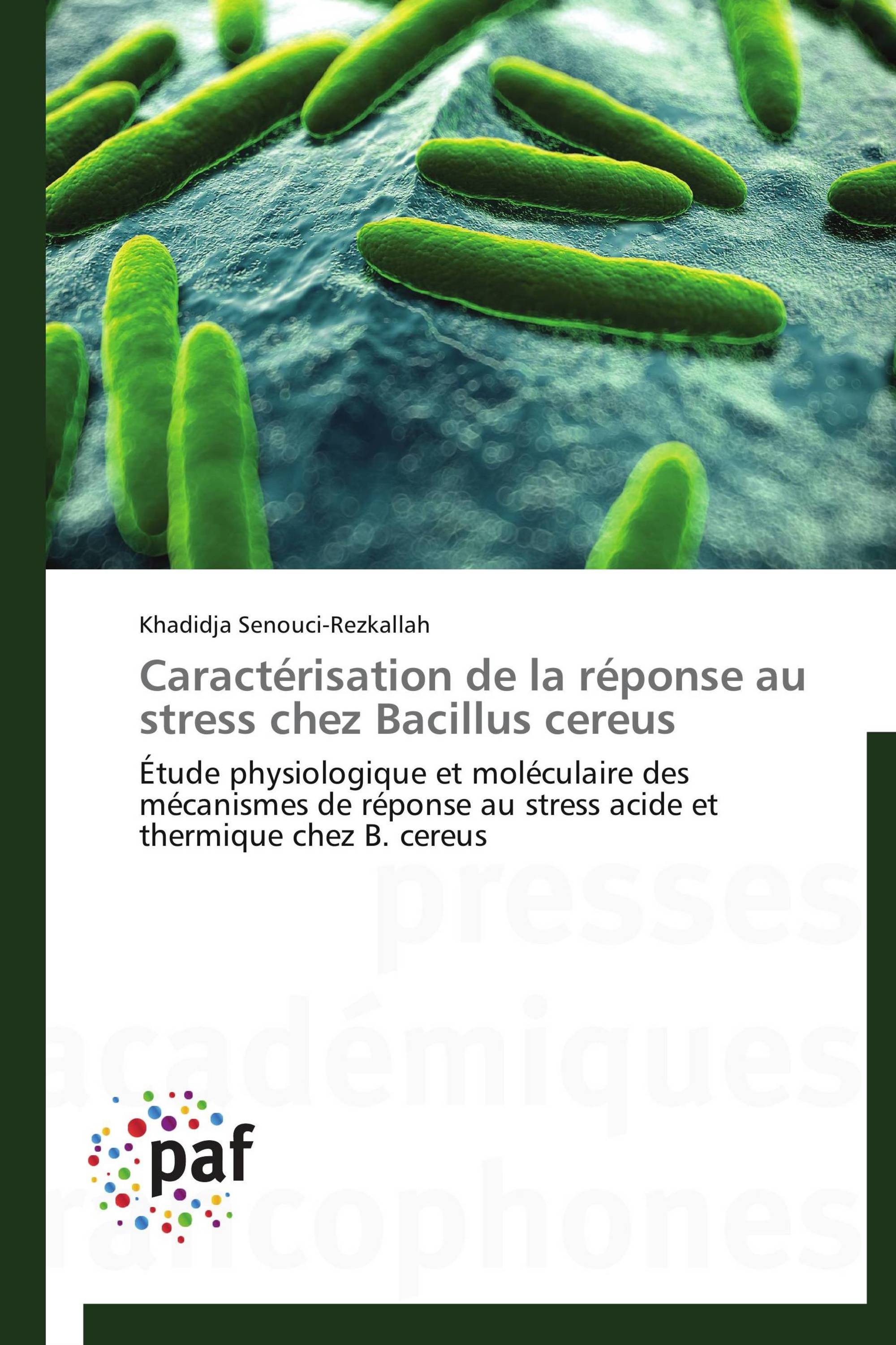 Caractérisation de la réponse au stress chez Bacillus cereus