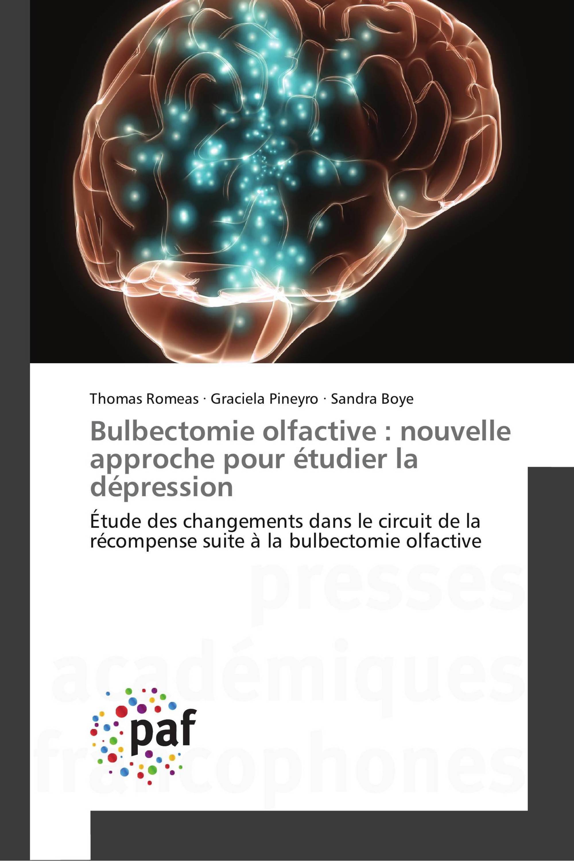 Bulbectomie olfactive : nouvelle approche pour étudier la dépression