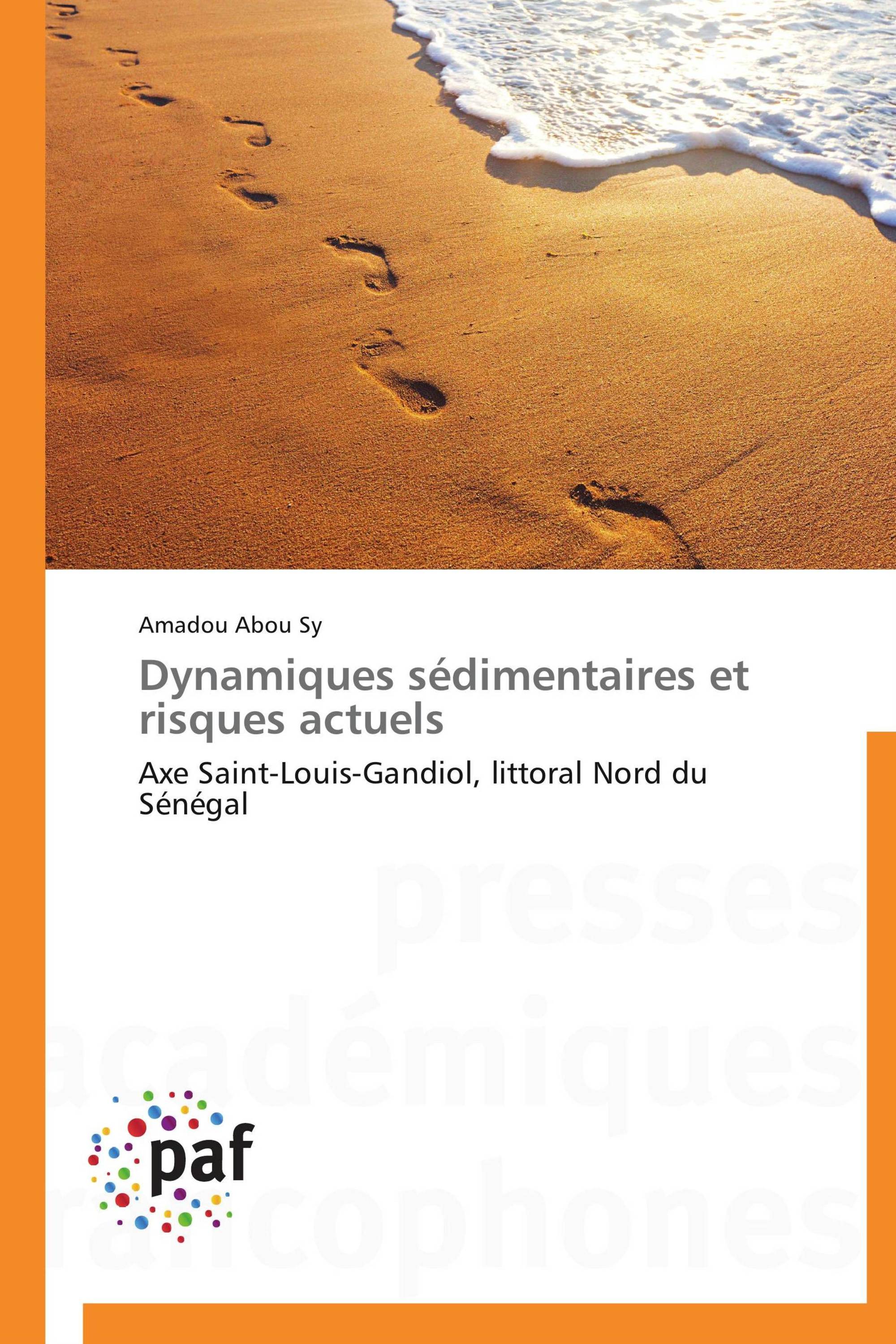 Dynamiques sédimentaires et risques actuels