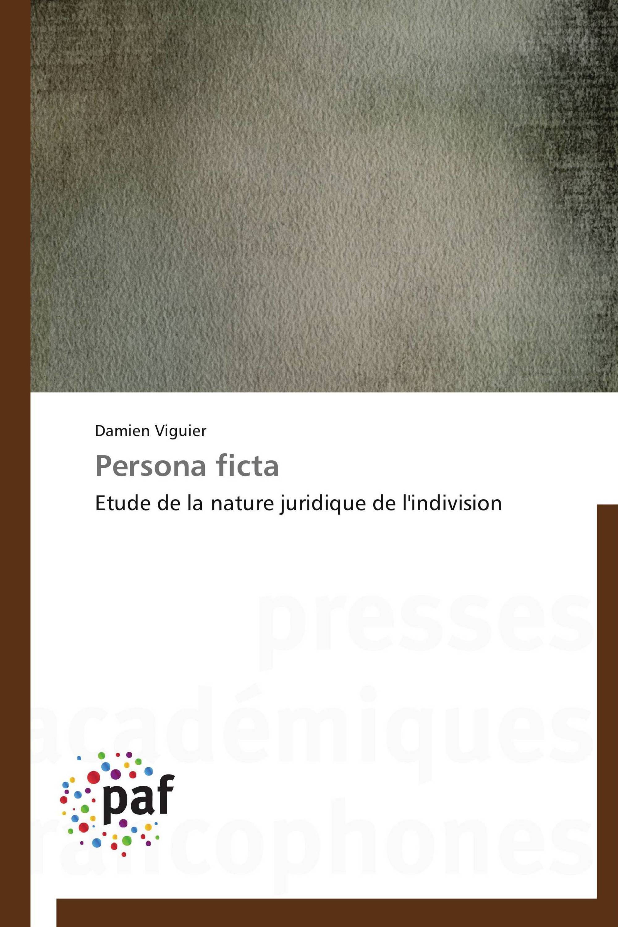 Persona ficta