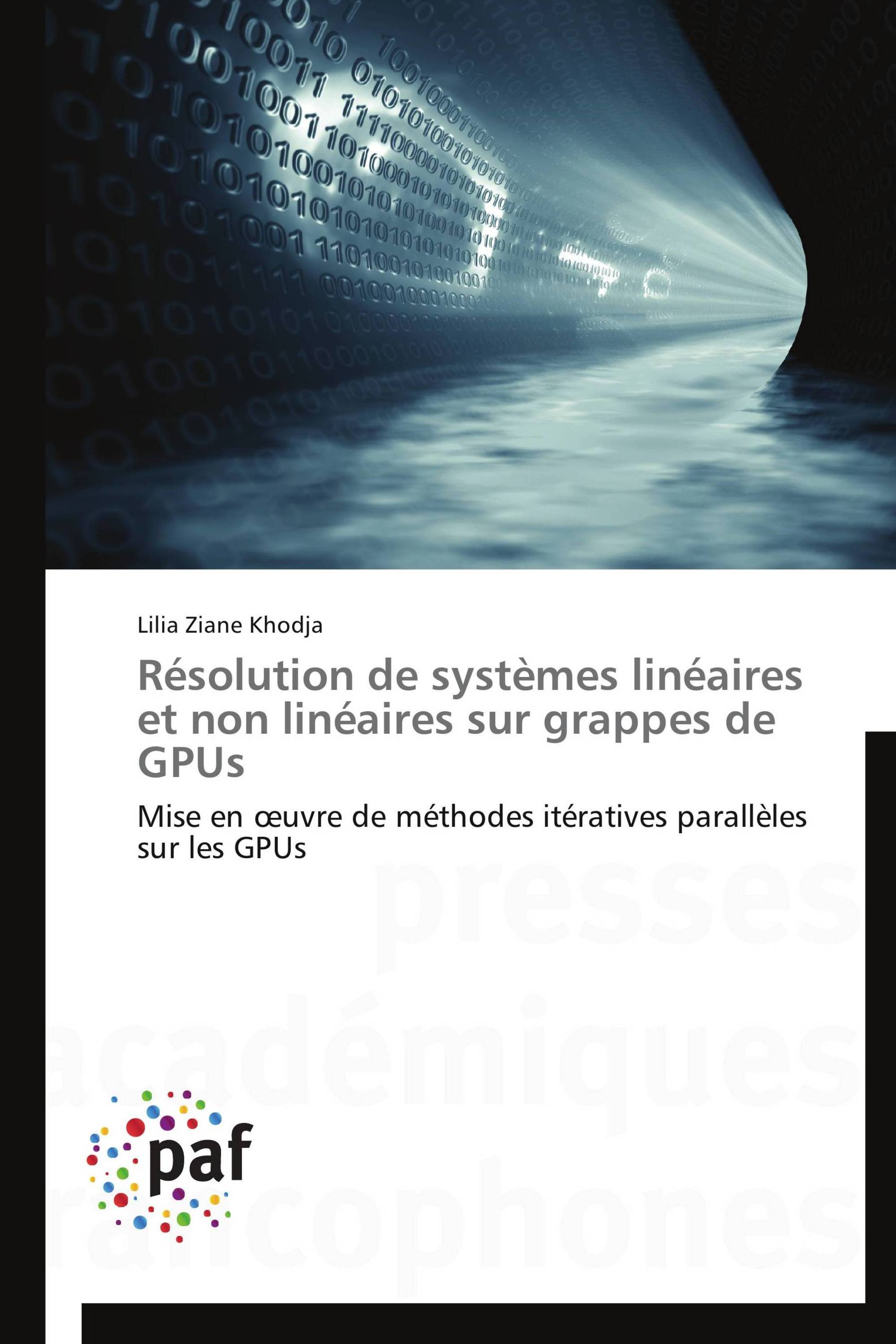 Résolution de systèmes linéaires et non linéaires sur  grappes de GPUs