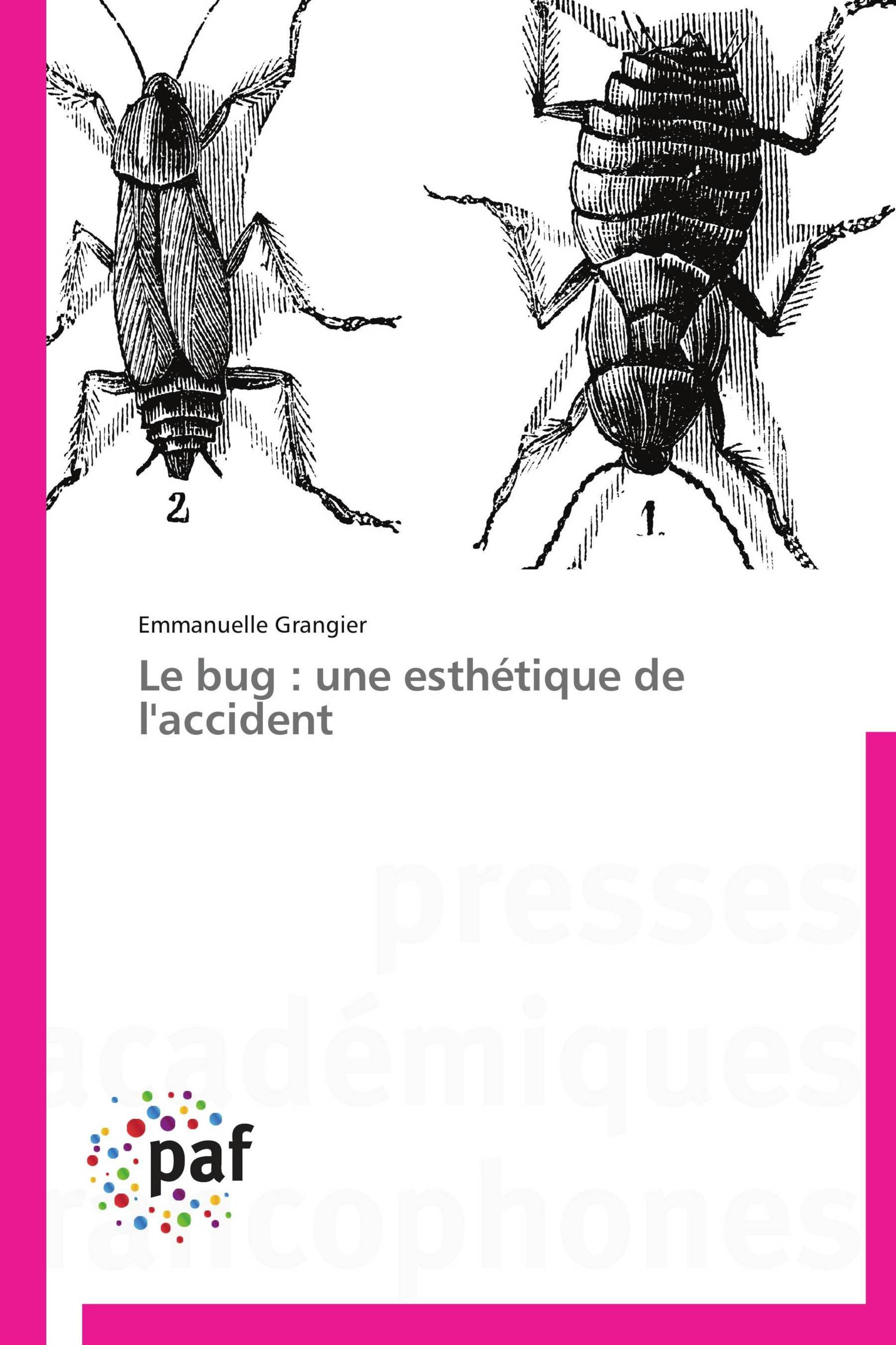 Le bug : une esthétique de l'accident