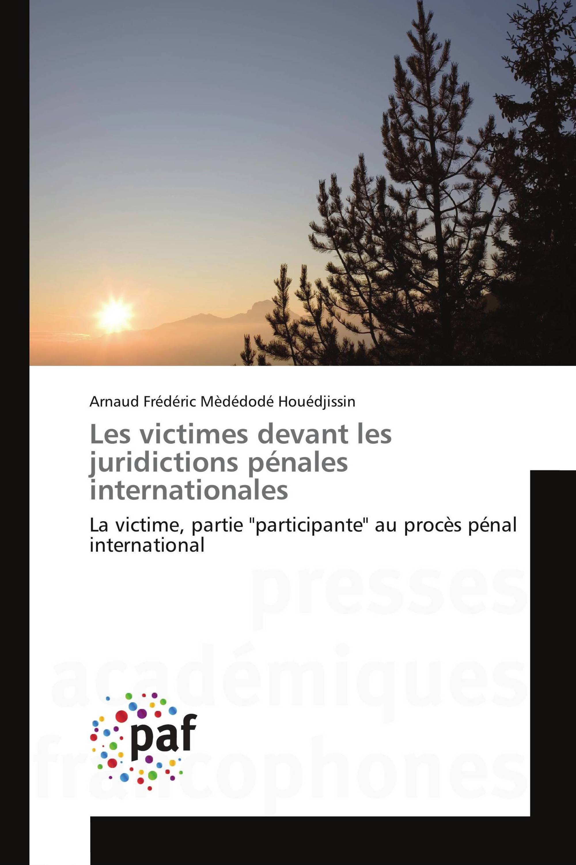 Les victimes devant les juridictions pénales internationales