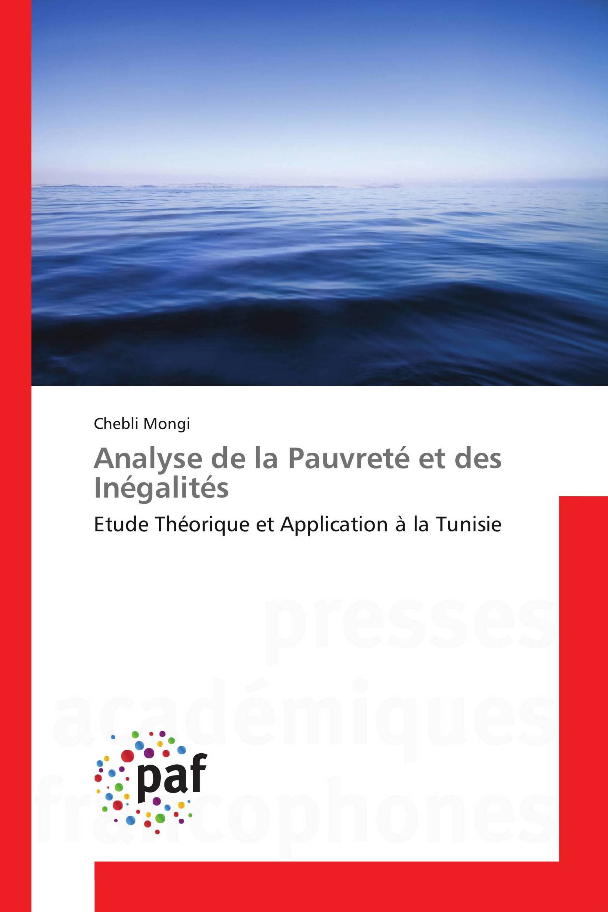 Analyse de la Pauvreté et des Inégalités