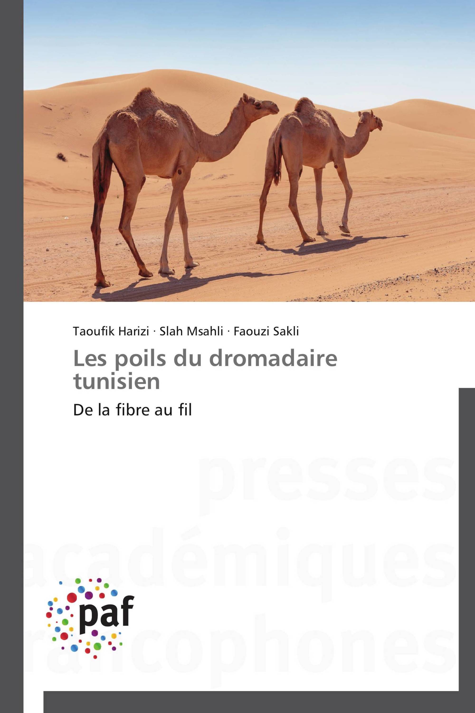 Les poils du dromadaire tunisien