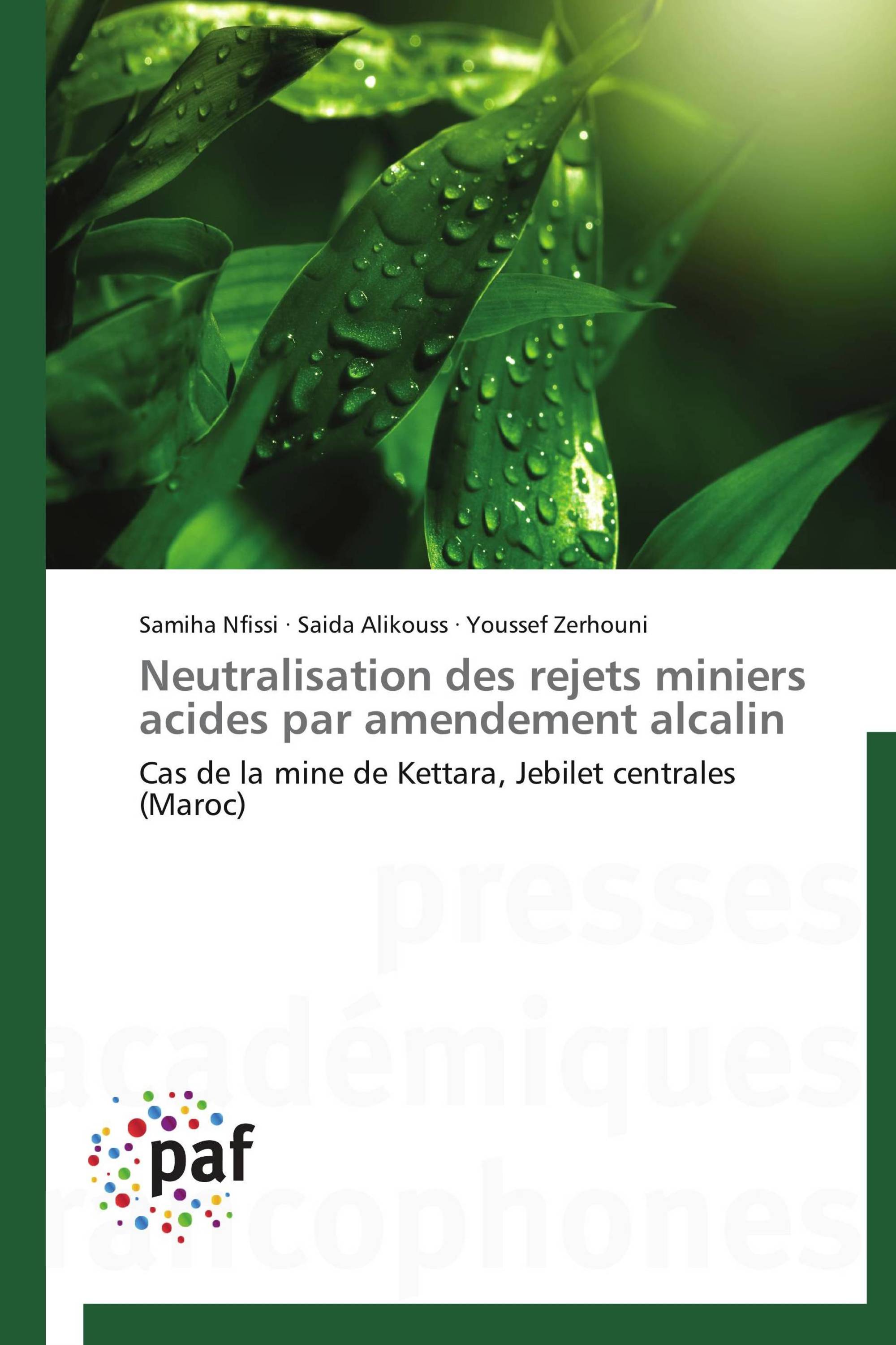 Neutralisation des rejets miniers acides par amendement alcalin