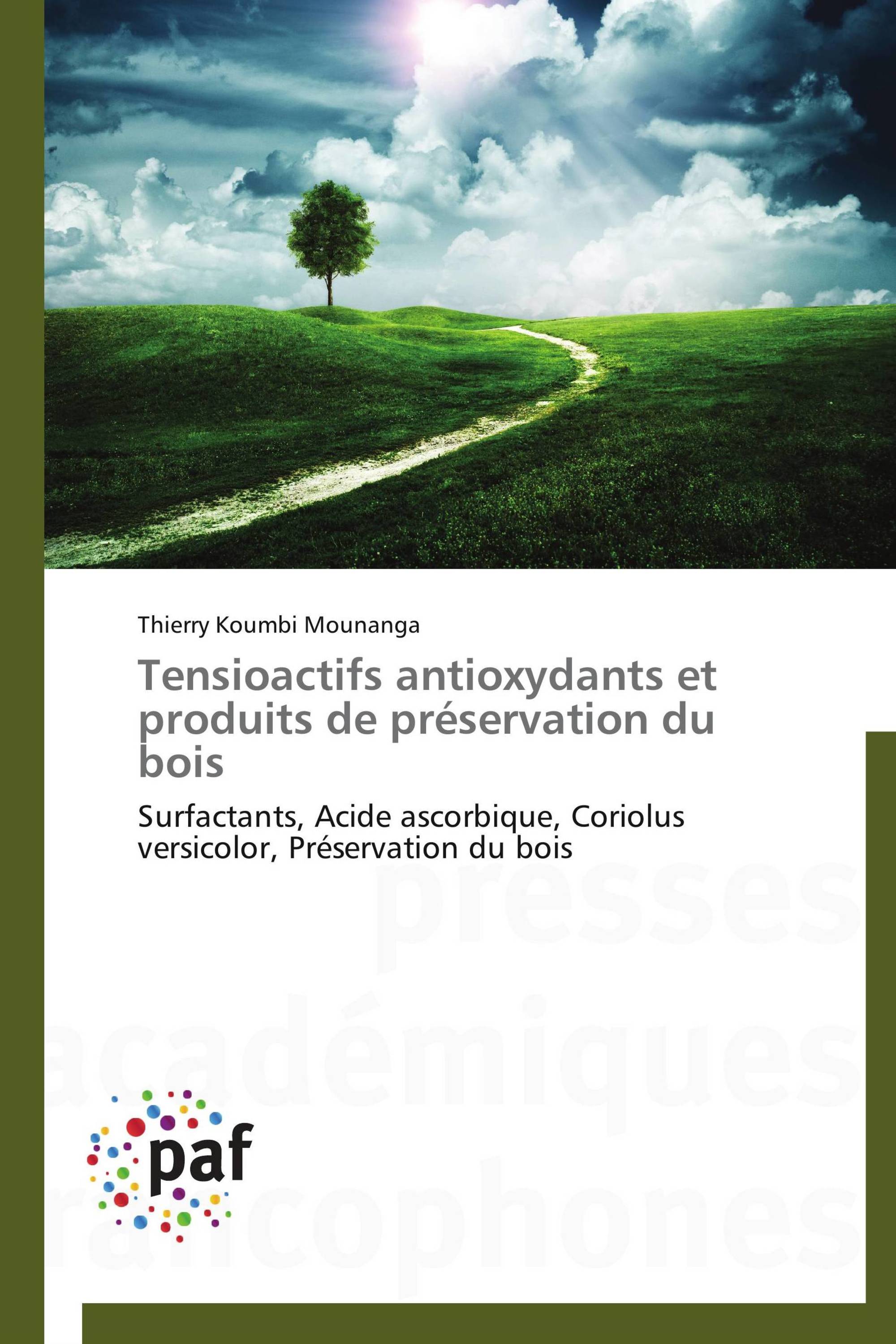 Tensioactifs antioxydants et produits de préservation du bois