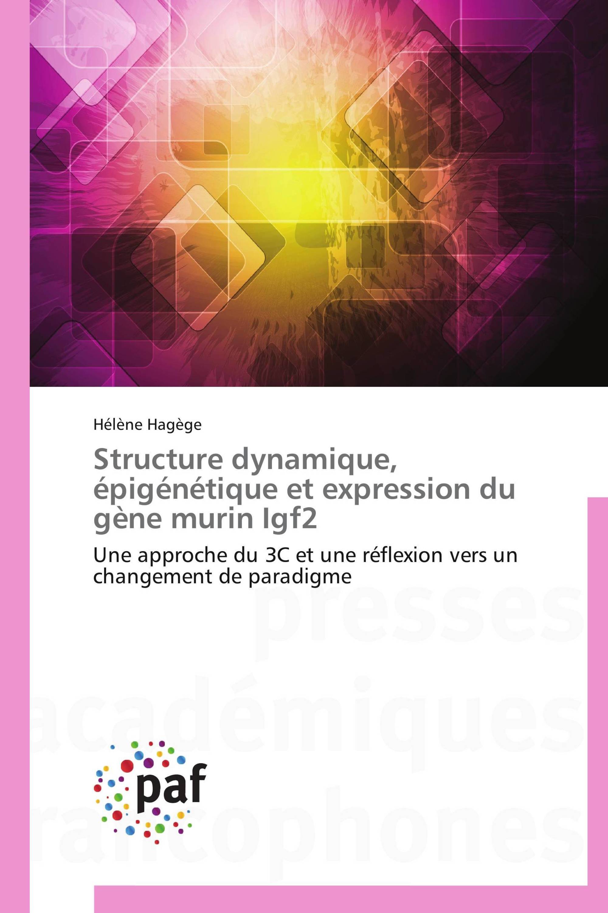 Structure dynamique, épigénétique et expression du gène murin Igf2