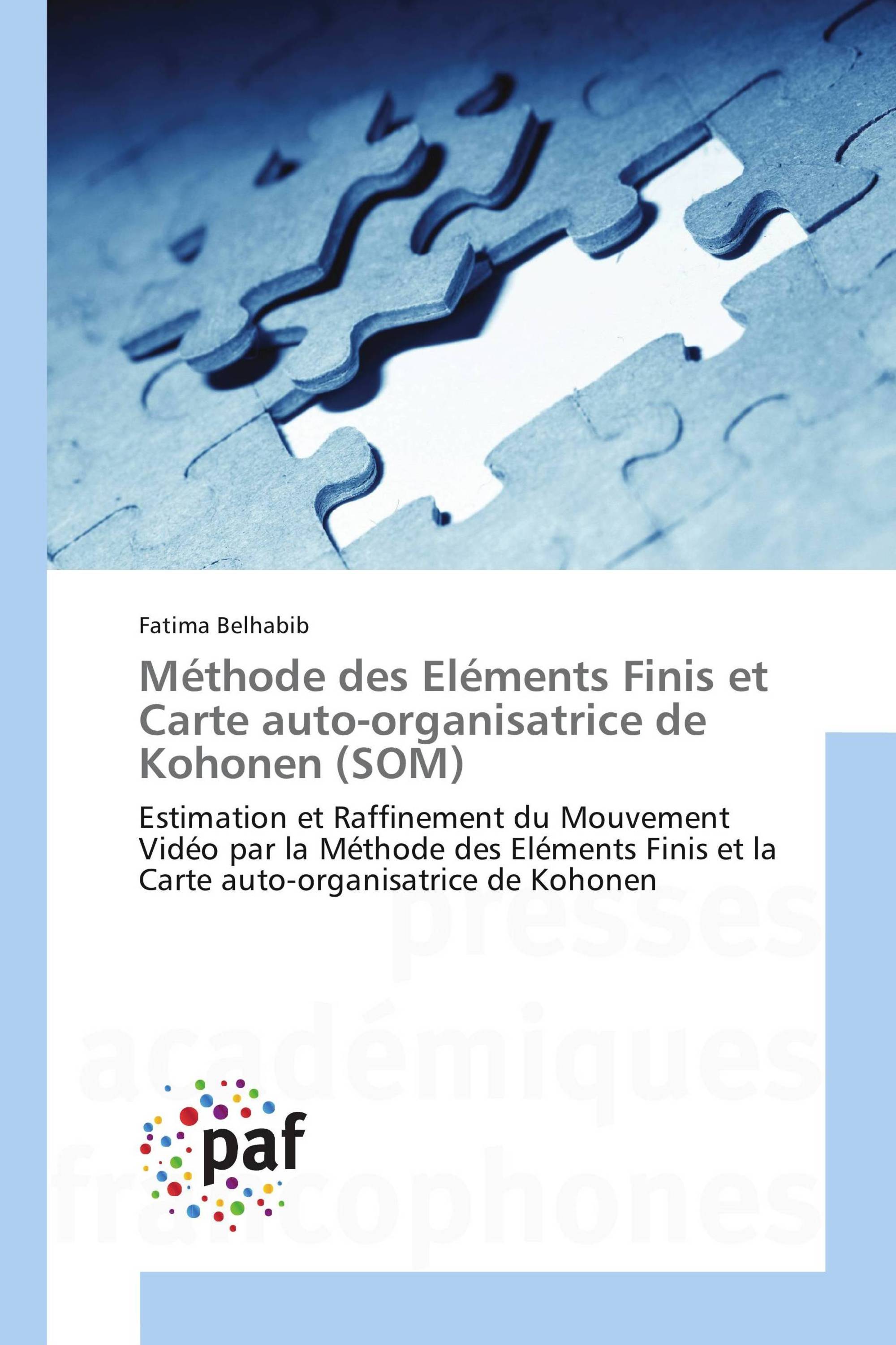 Méthode des Eléments Finis et Carte auto-organisatrice de Kohonen (SOM)