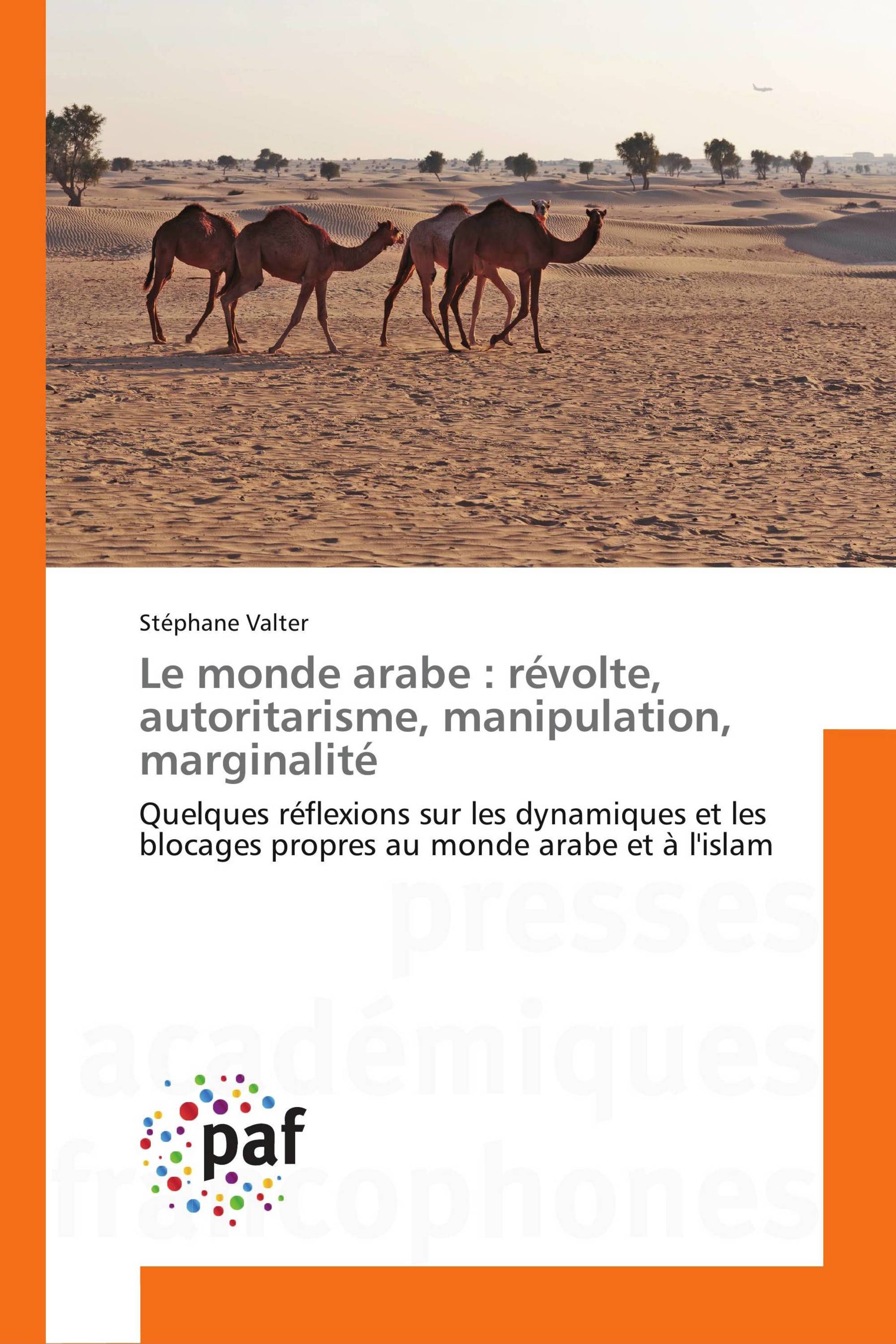 Le monde arabe : révolte, autoritarisme, manipulation, marginalité