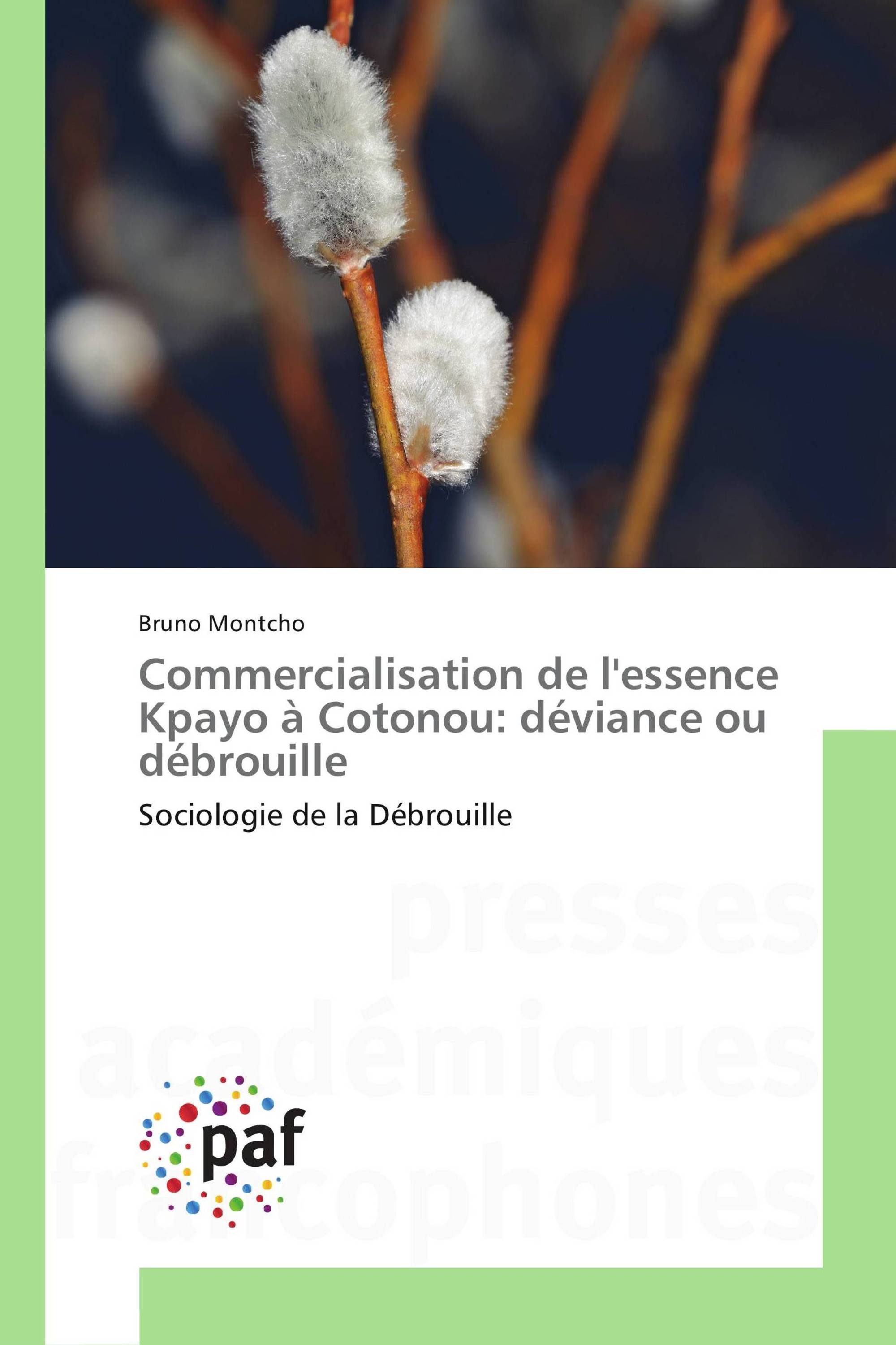 Commercialisation de l'essence Kpayo à Cotonou: déviance ou débrouille