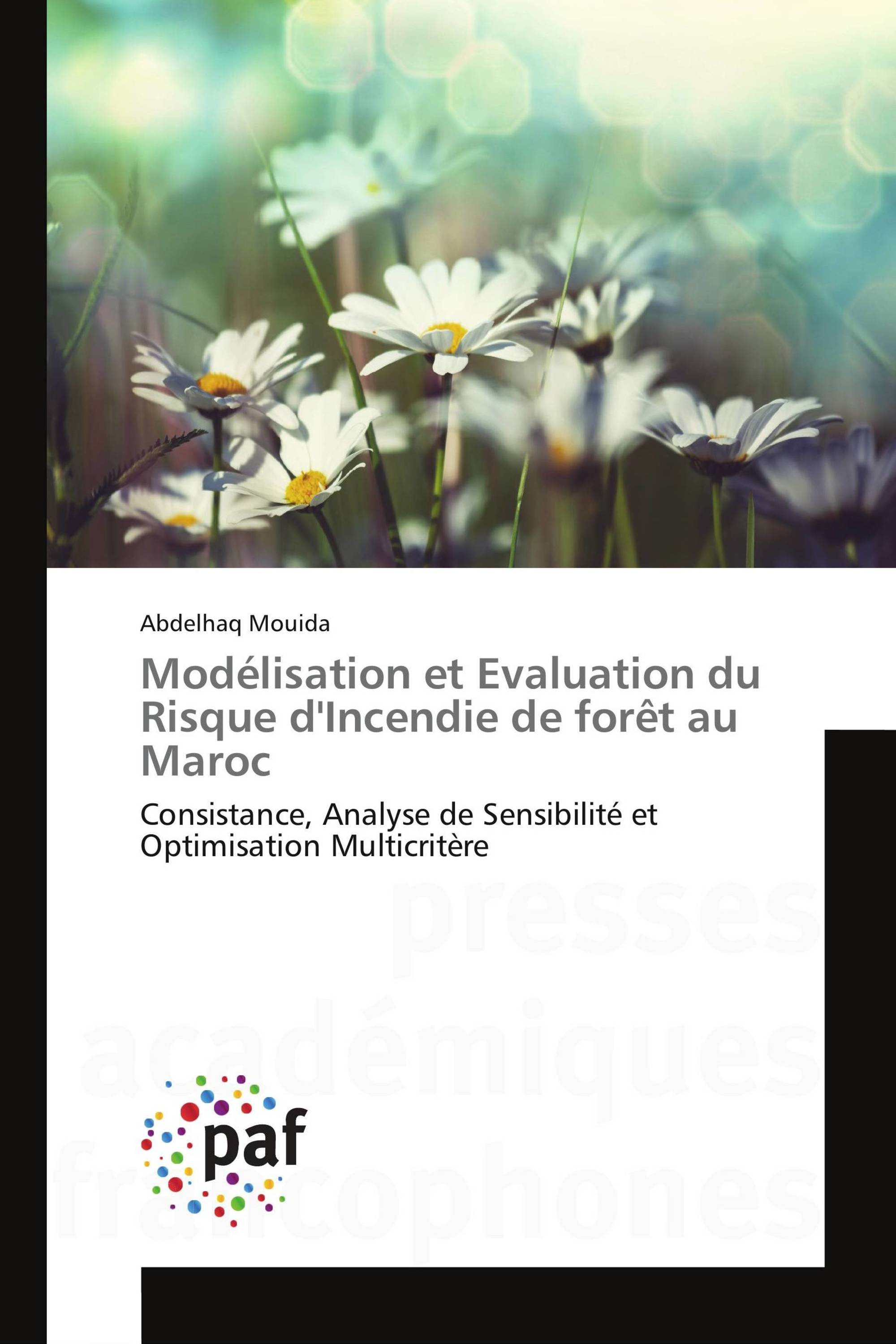 Modélisation et Evaluation du Risque d'Incendie de forêt au Maroc