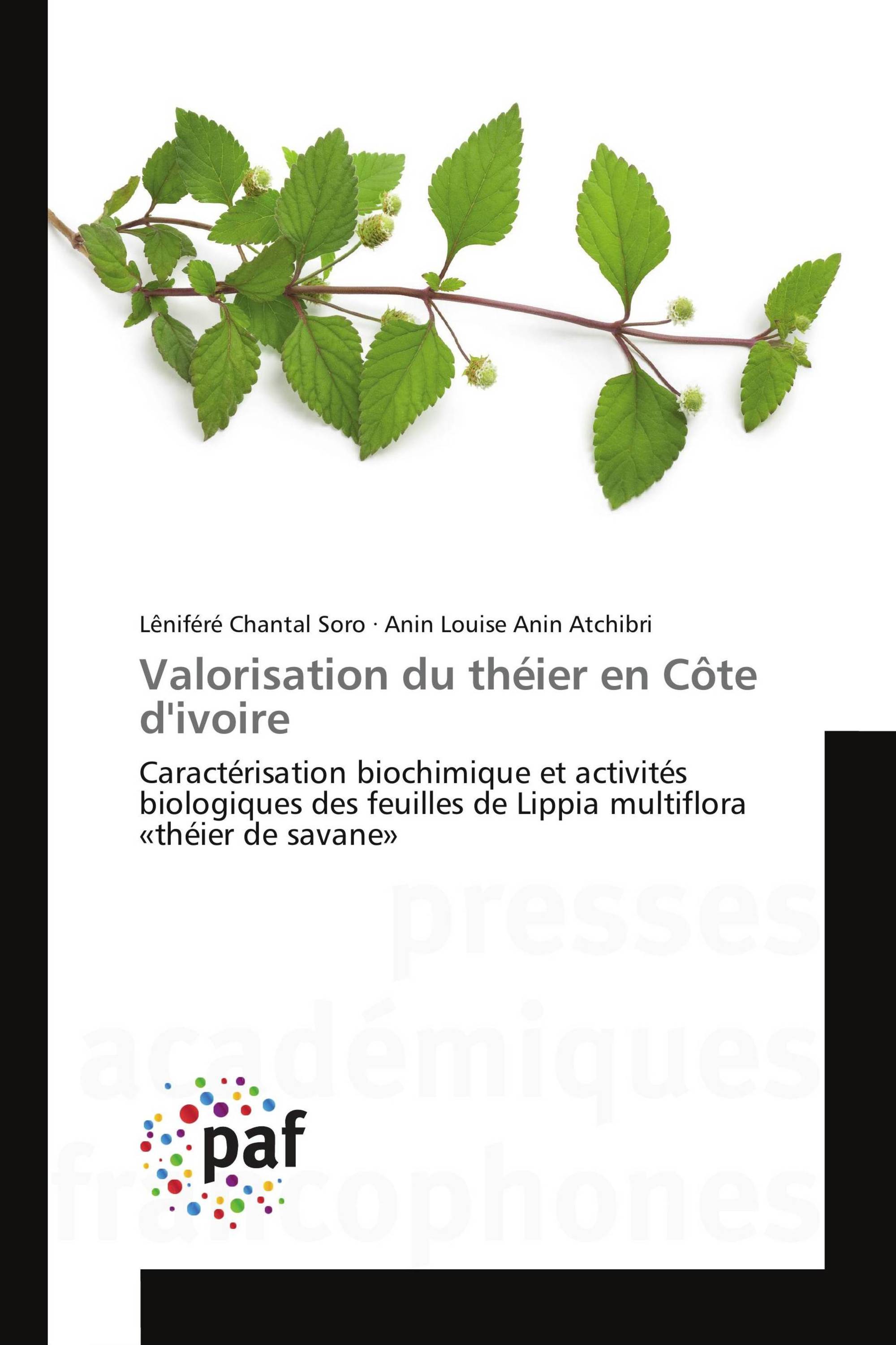 Valorisation du théier en Côte d'ivoire