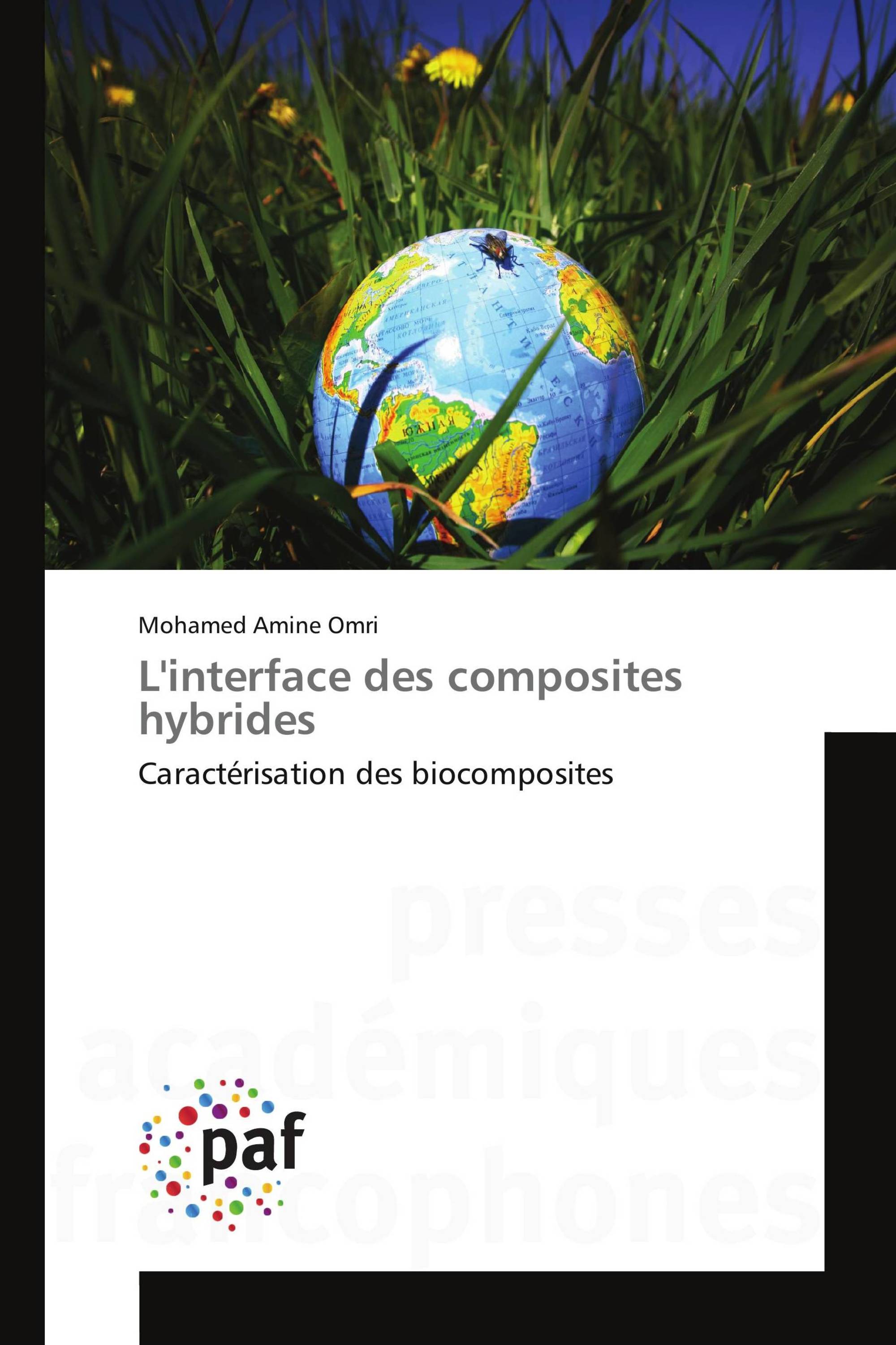 L'interface des composites hybrides