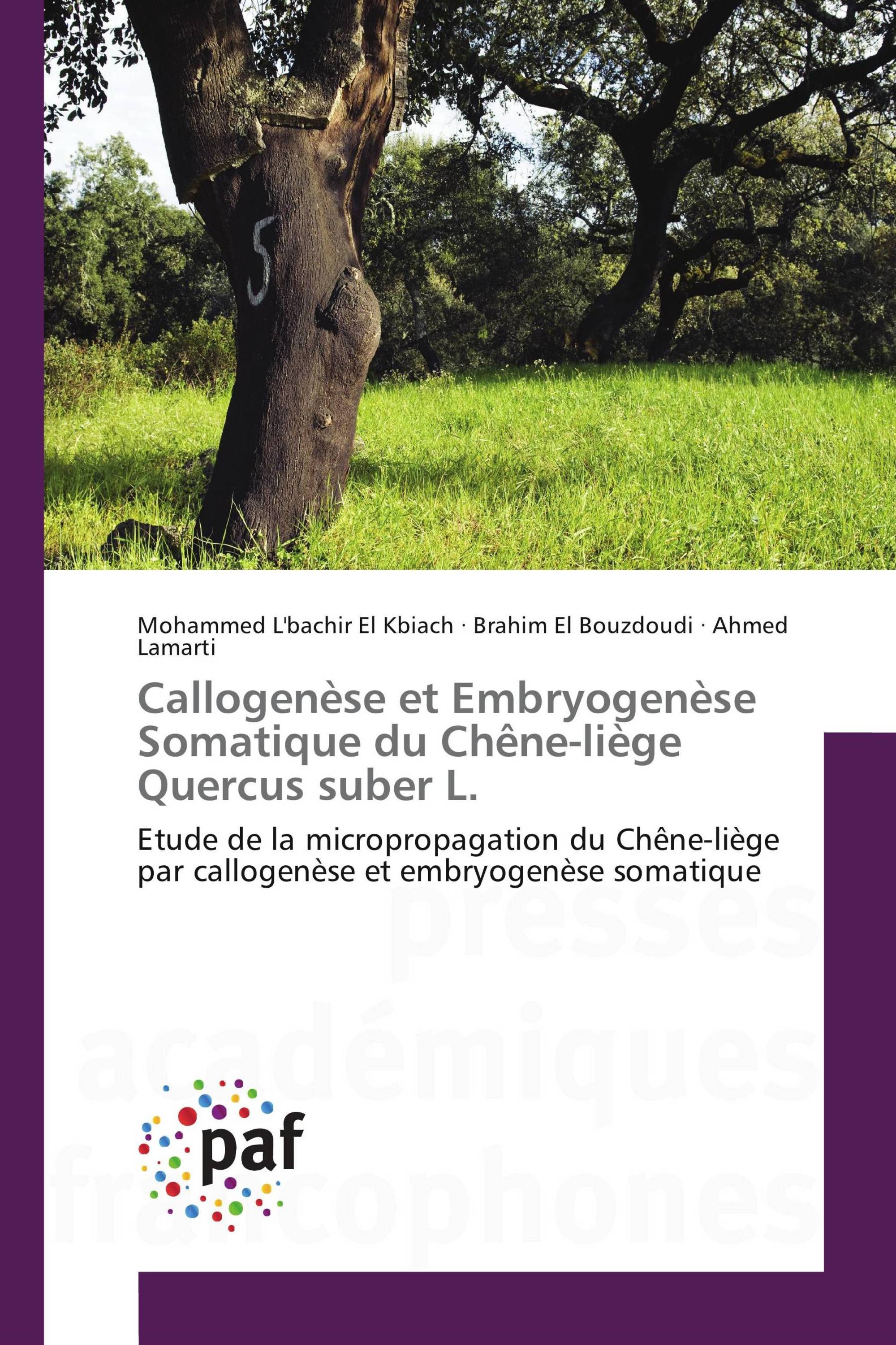 Callogenèse et Embryogenèse Somatique du Chêne-liège Quercus suber L.