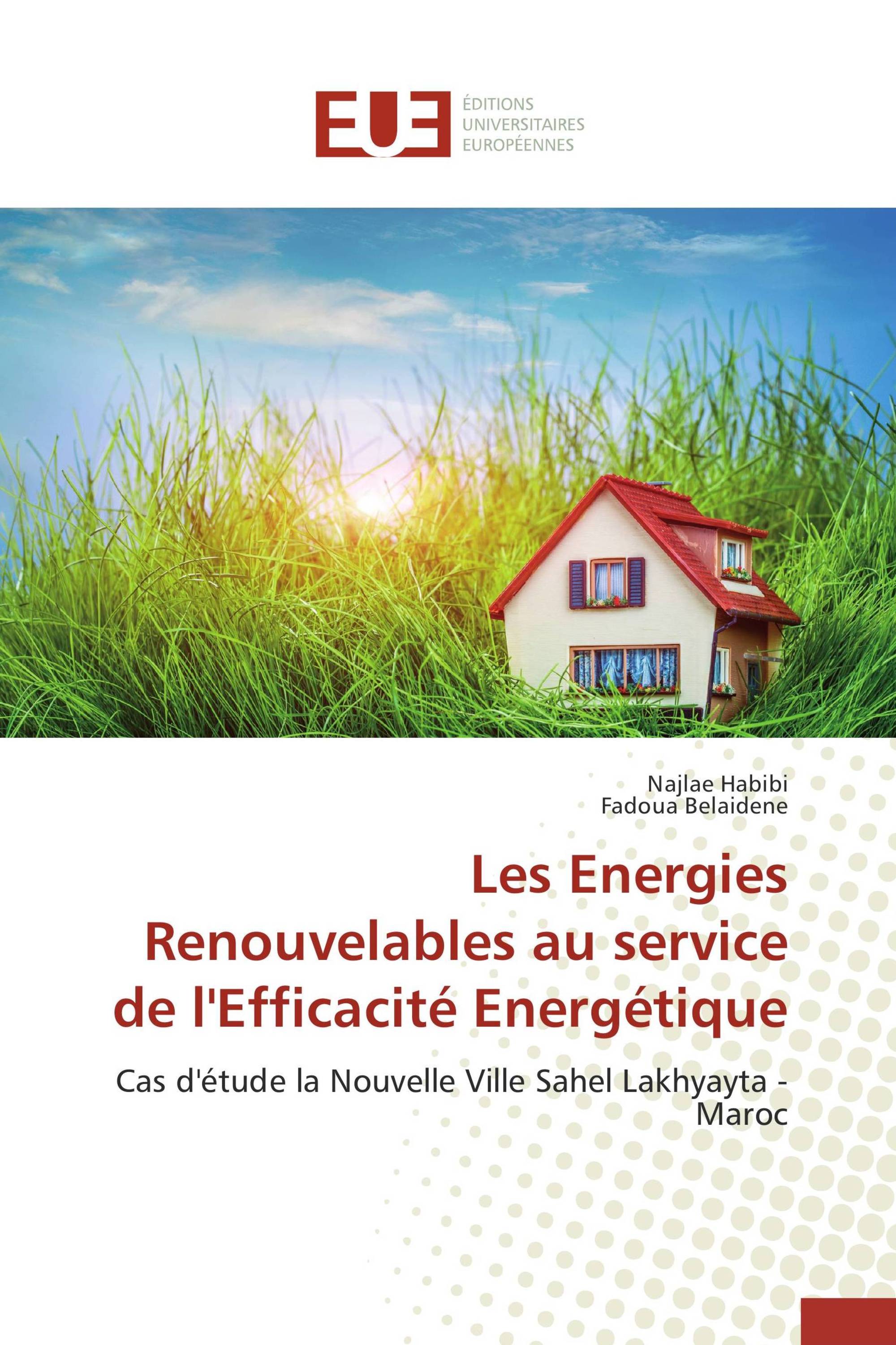 Les Energies Renouvelables au service de l'Efficacité Energétique