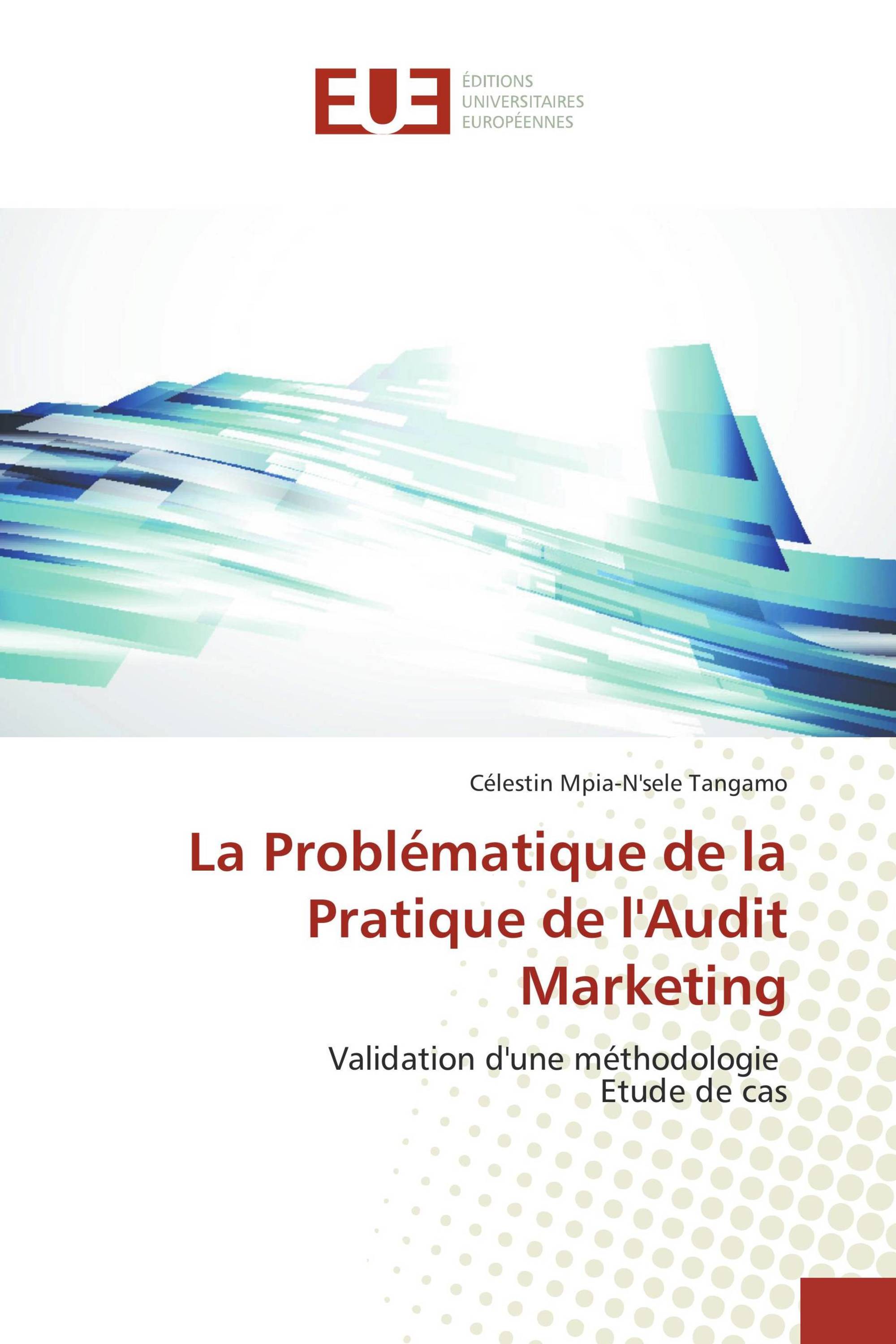 La Problématique de la Pratique de l'Audit Marketing