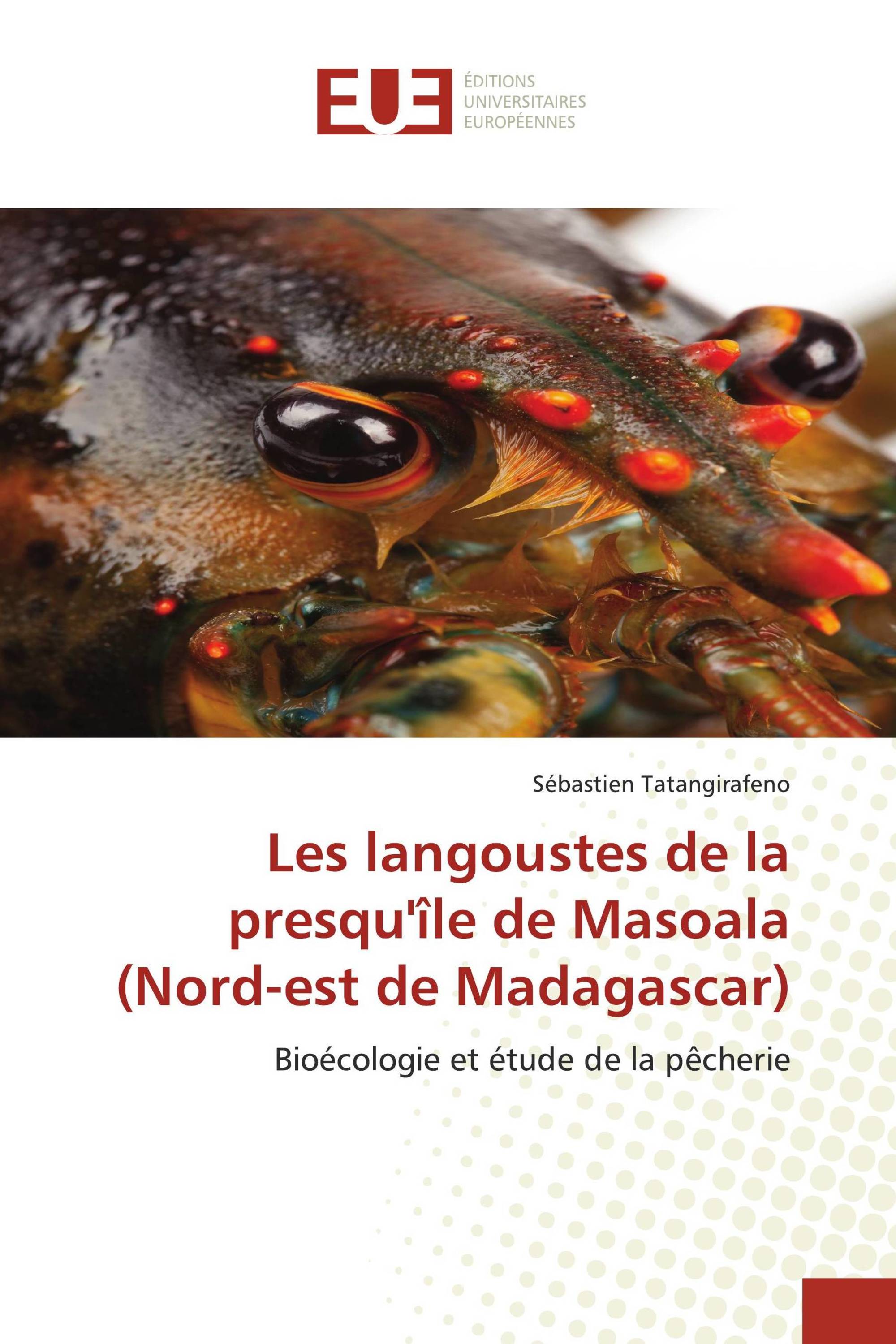 Les langoustes de la presqu'île de Masoala (Nord-est de Madagascar)