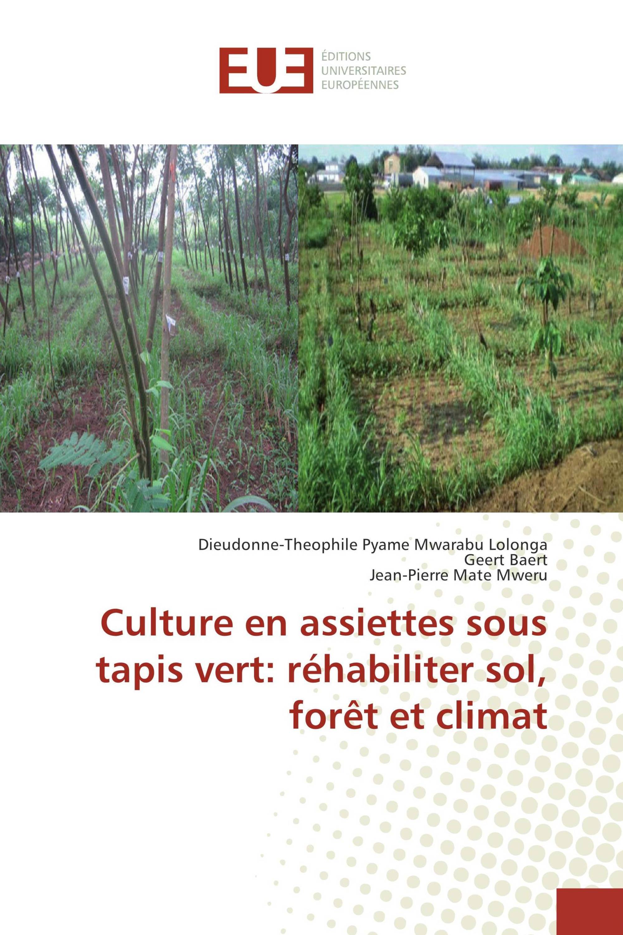 Culture en assiettes sous tapis vert: réhabiliter sol, forêt et climat