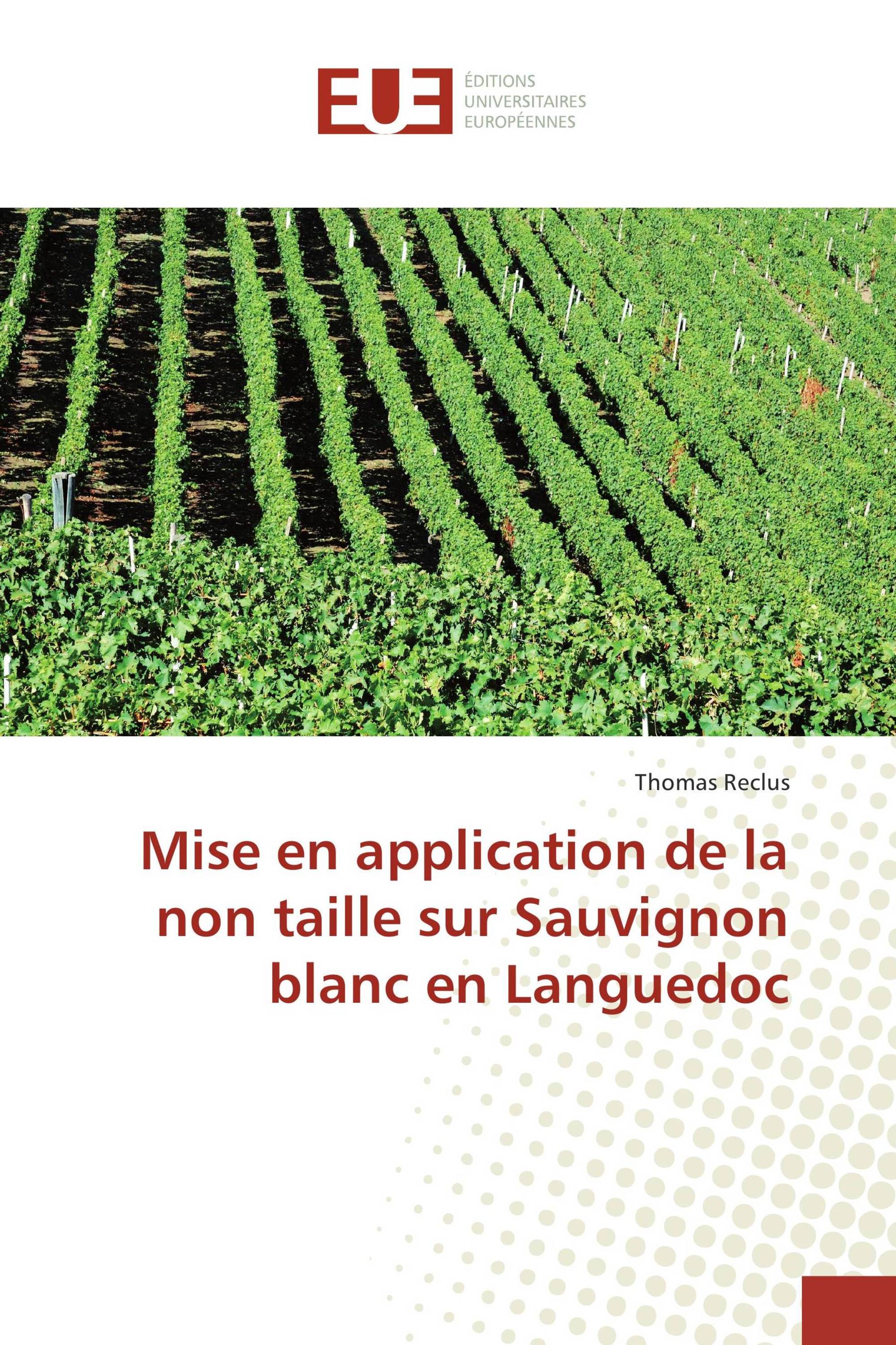 Mise en application de la non taille sur Sauvignon blanc en Languedoc