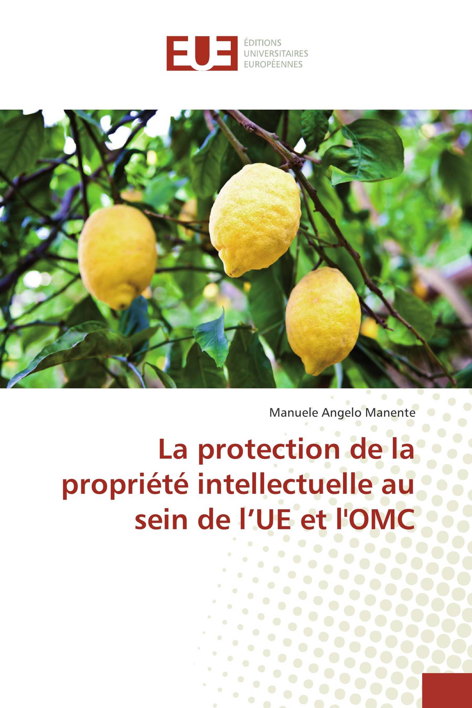 La protection de la propriété intellectuelle au sein de l’UE et l'OMC