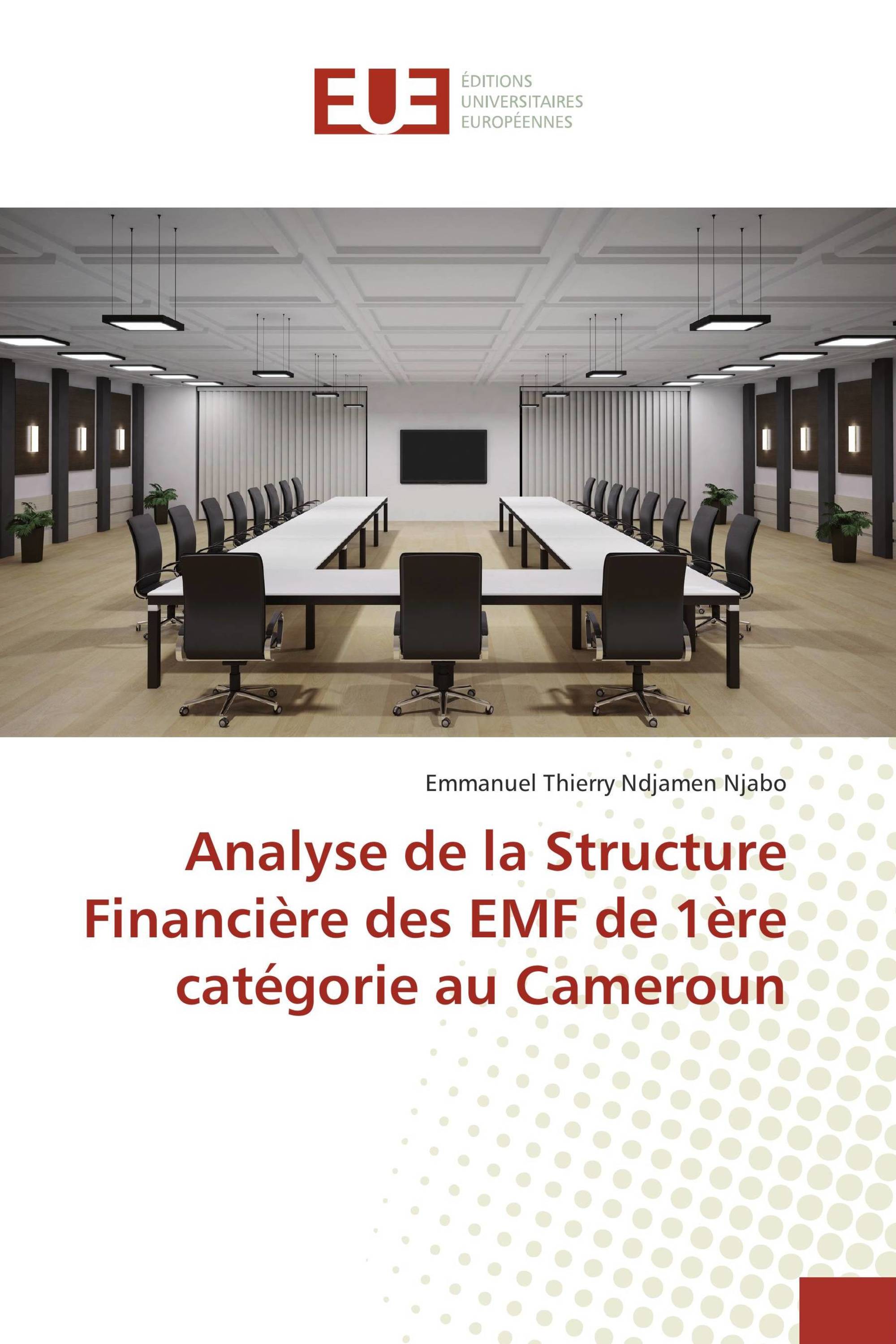 Analyse de la Structure Financière des EMF de 1ère catégorie au Cameroun