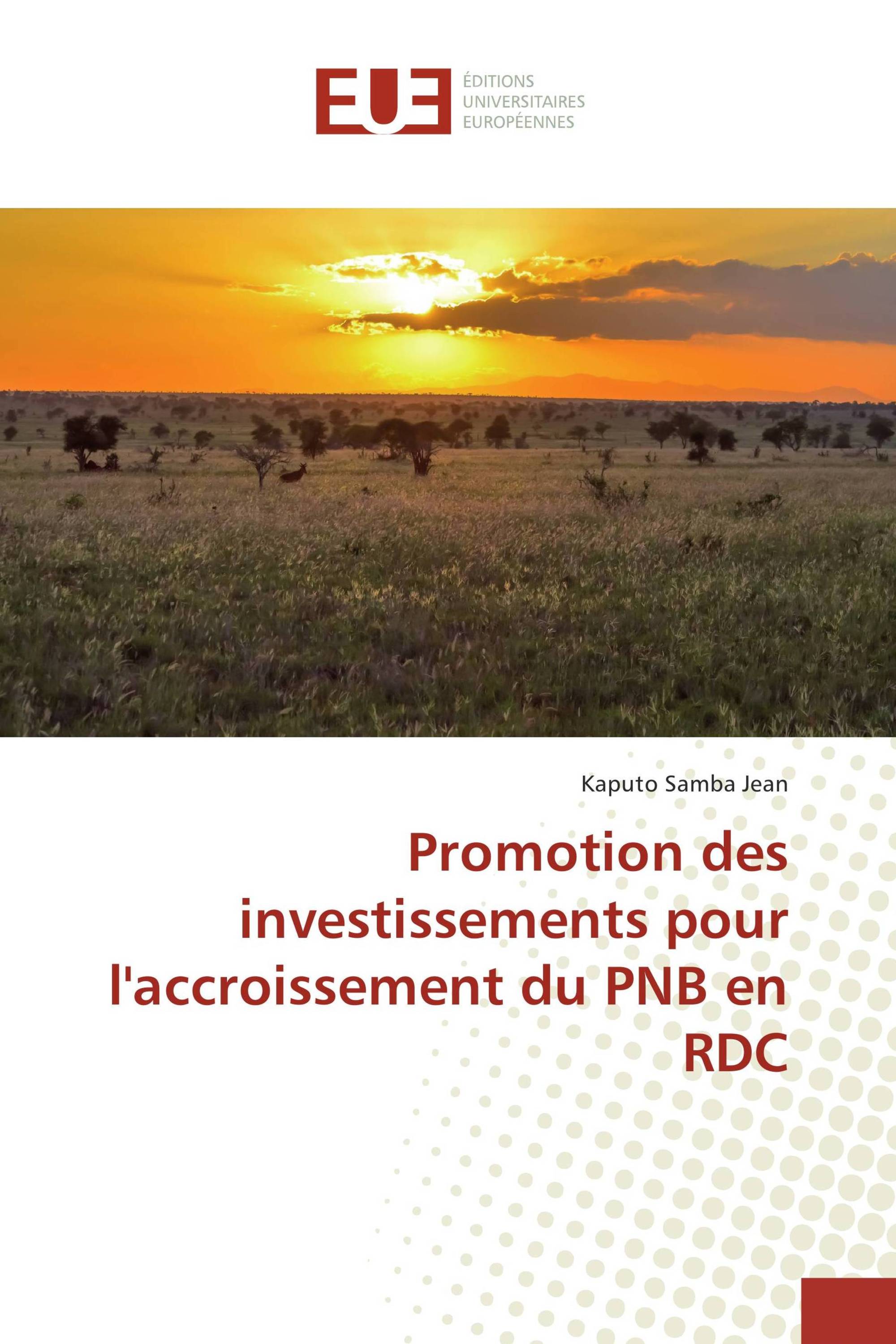 Promotion des investissements pour l'accroissement du PNB en RDC