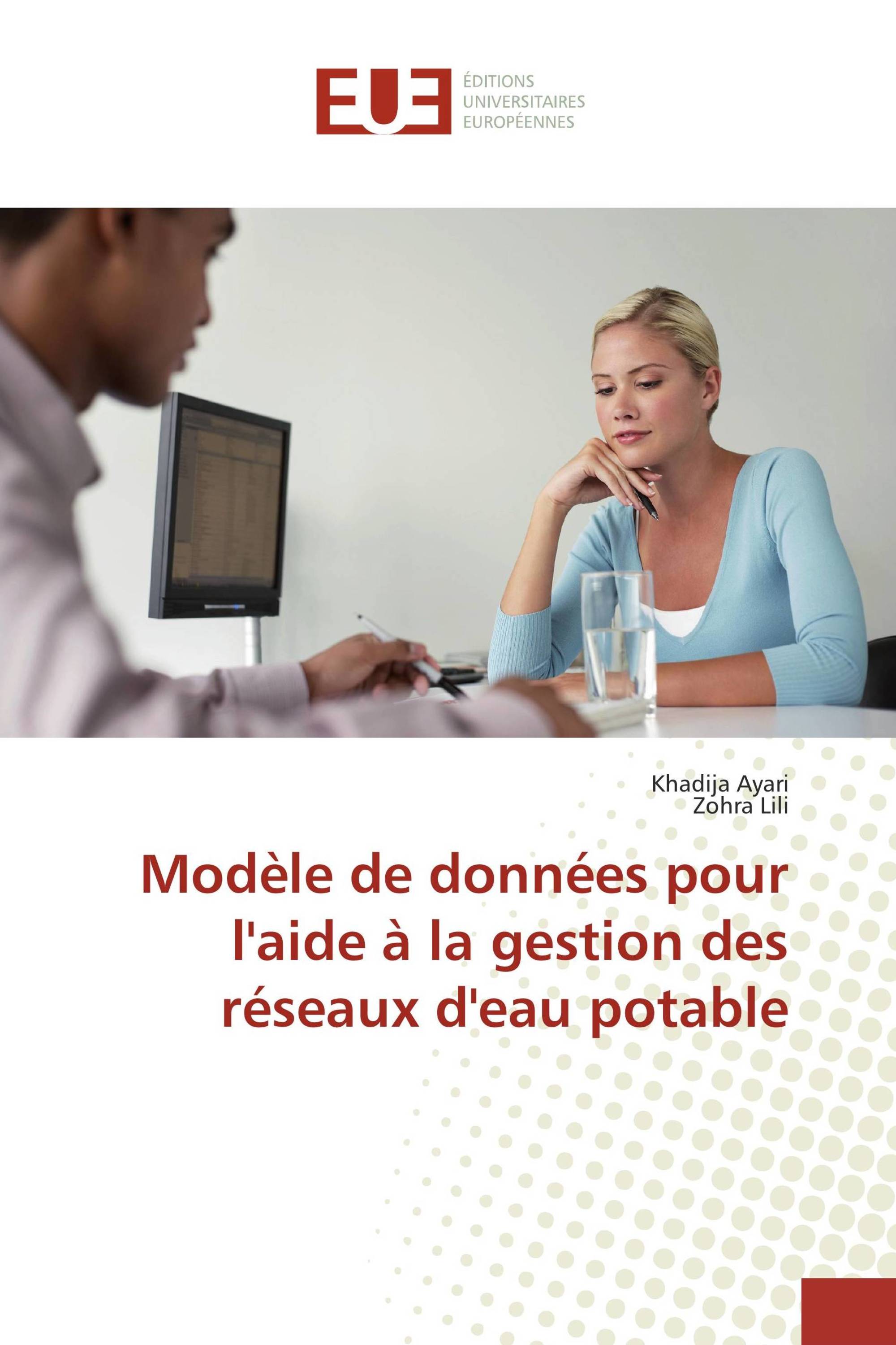 Modèle de données pour l'aide à la gestion des réseaux d'eau potable