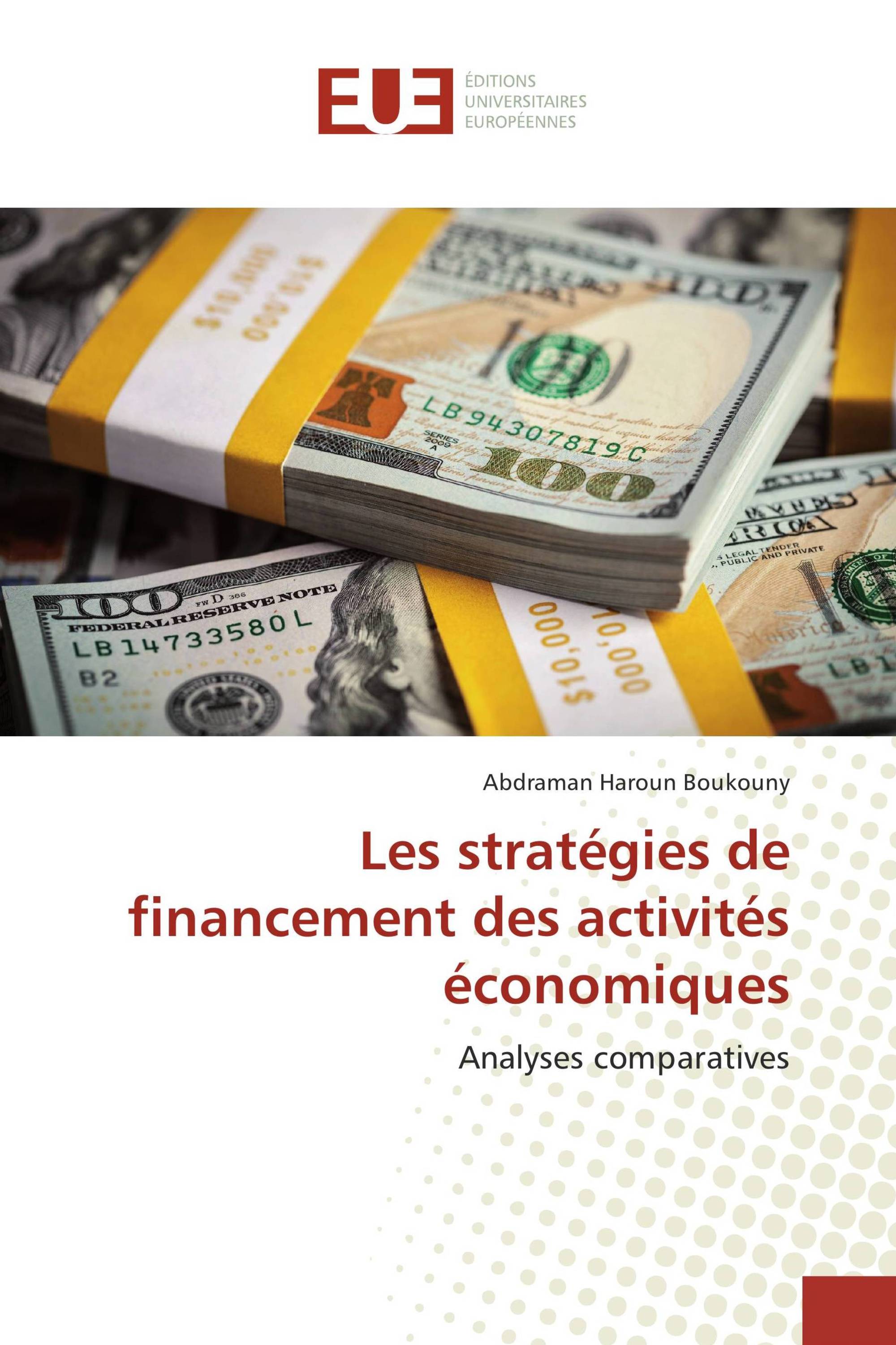 Les stratégies de financement des activités économiques