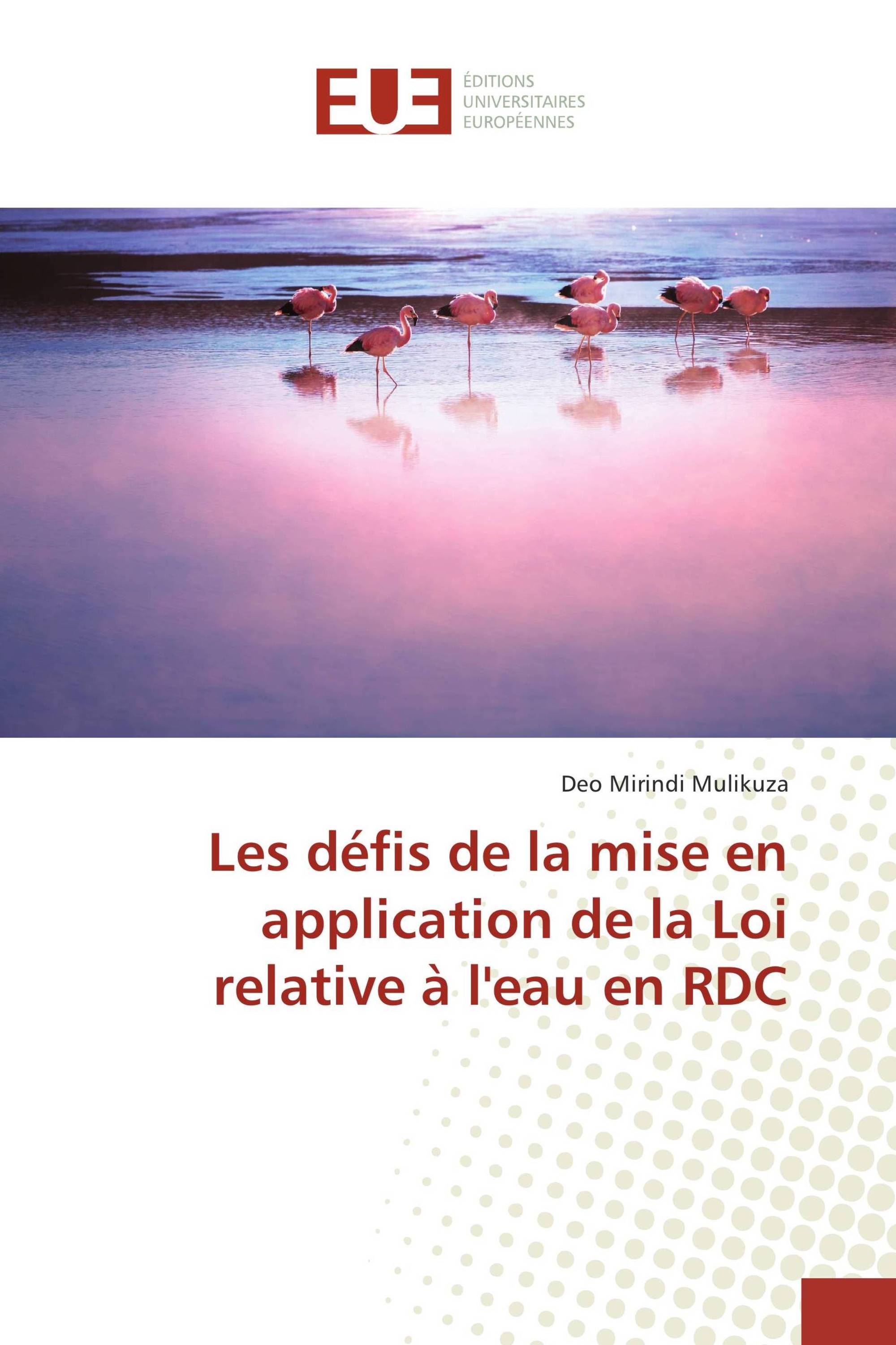 Les défis de la mise en application de la Loi relative à l'eau en RDC