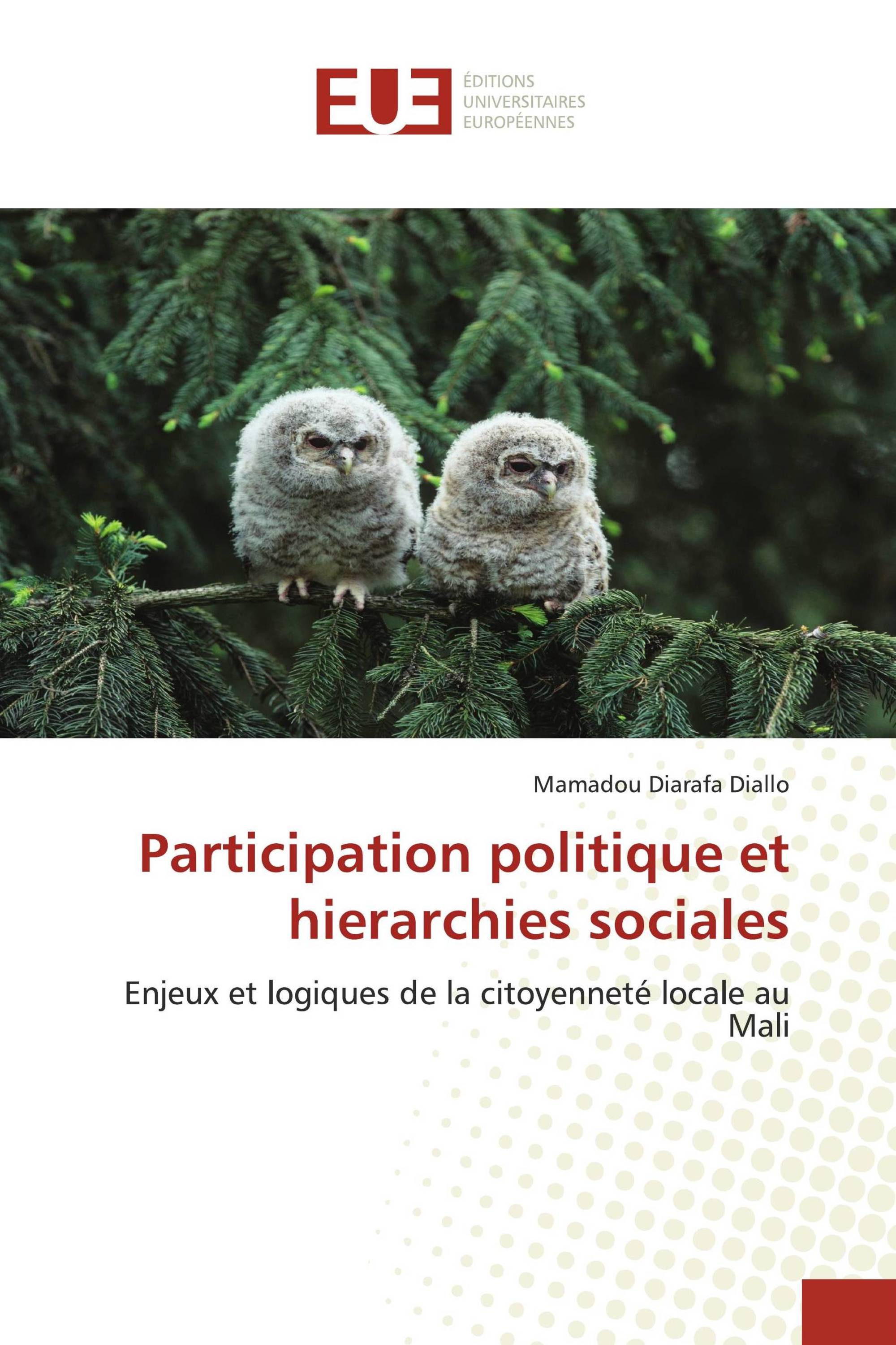 Participation politique et hierarchies sociales