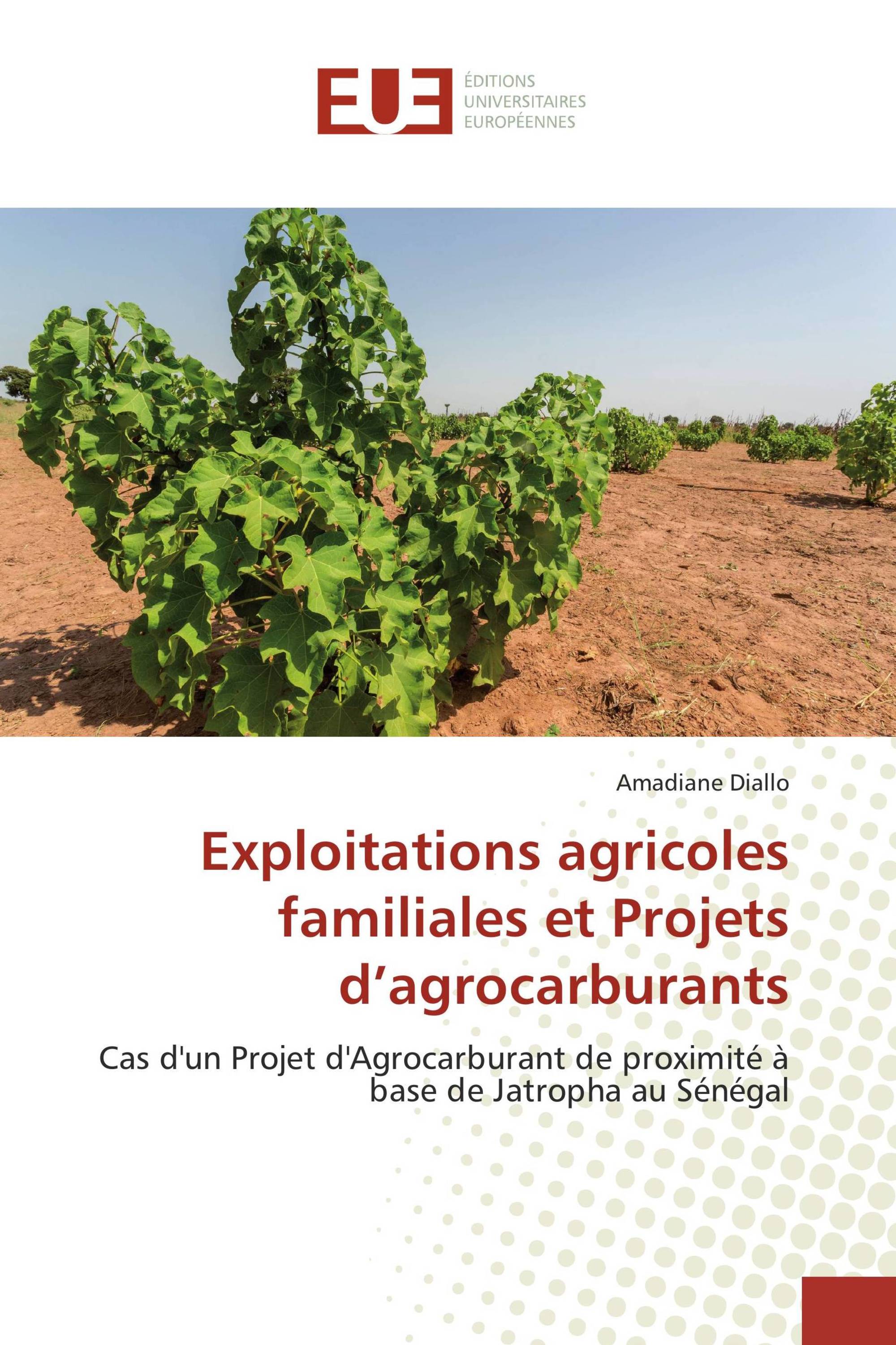 Exploitations agricoles familiales et Projets d’agrocarburants