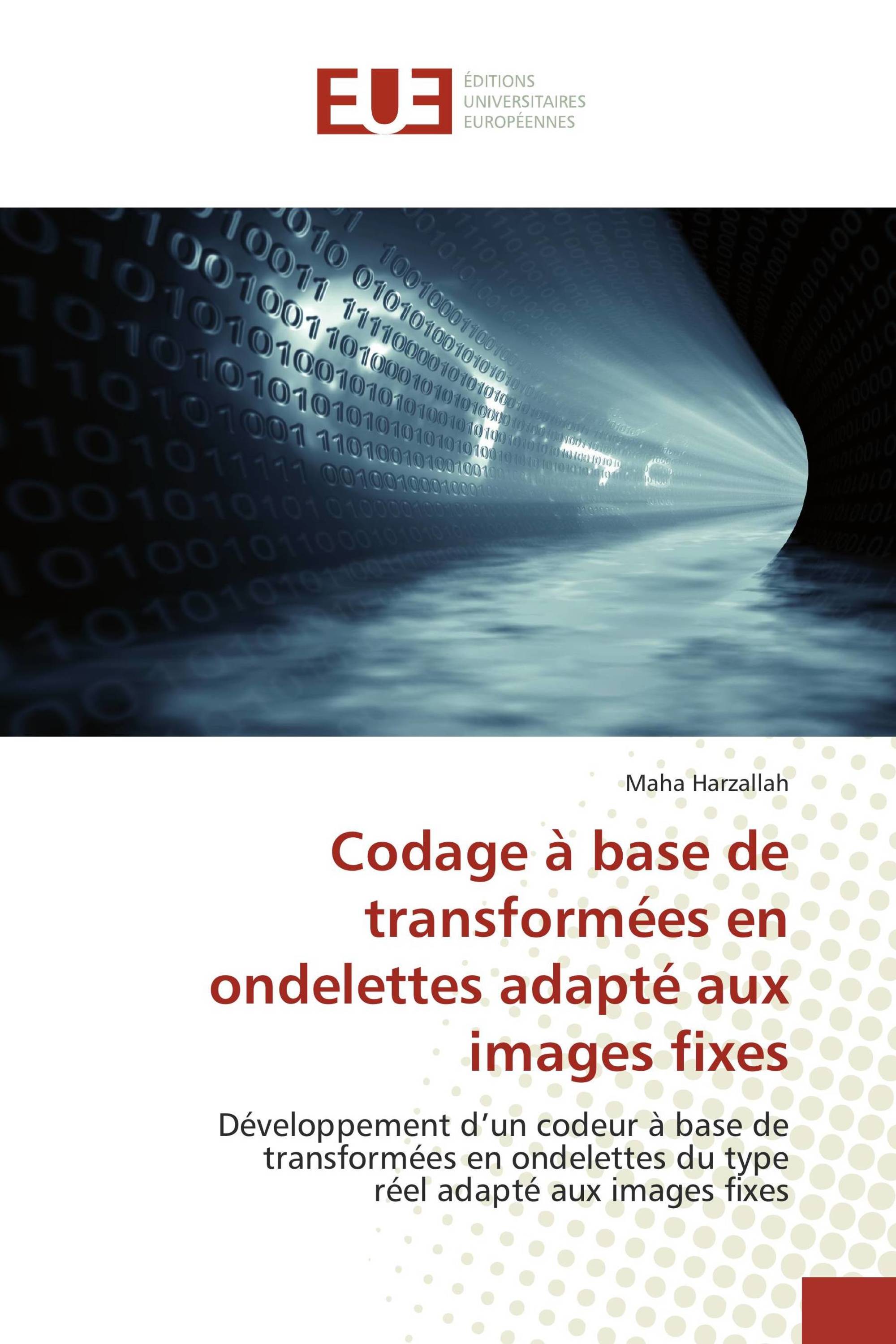 Codage à base de transformées en ondelettes adapté aux images fixes