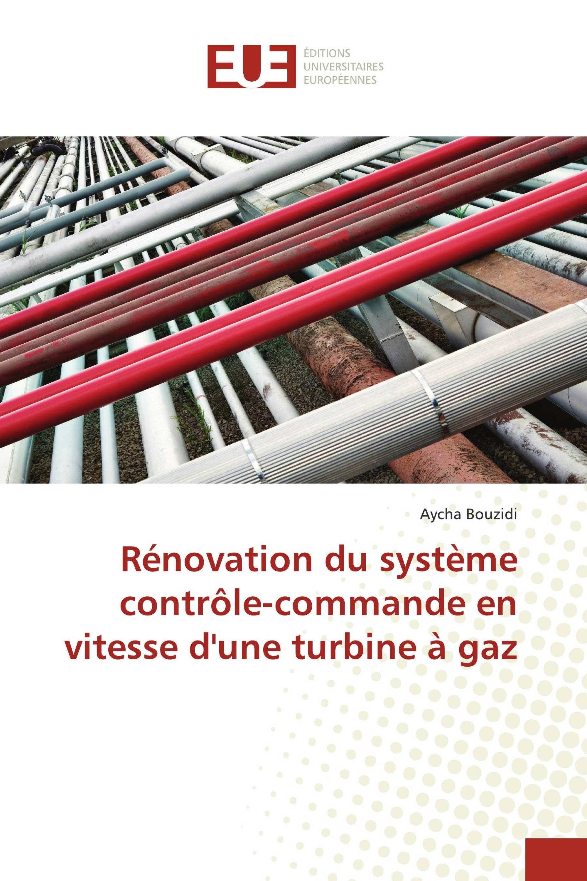 Rénovation du système contrôle-commande en vitesse d'une turbine à gaz