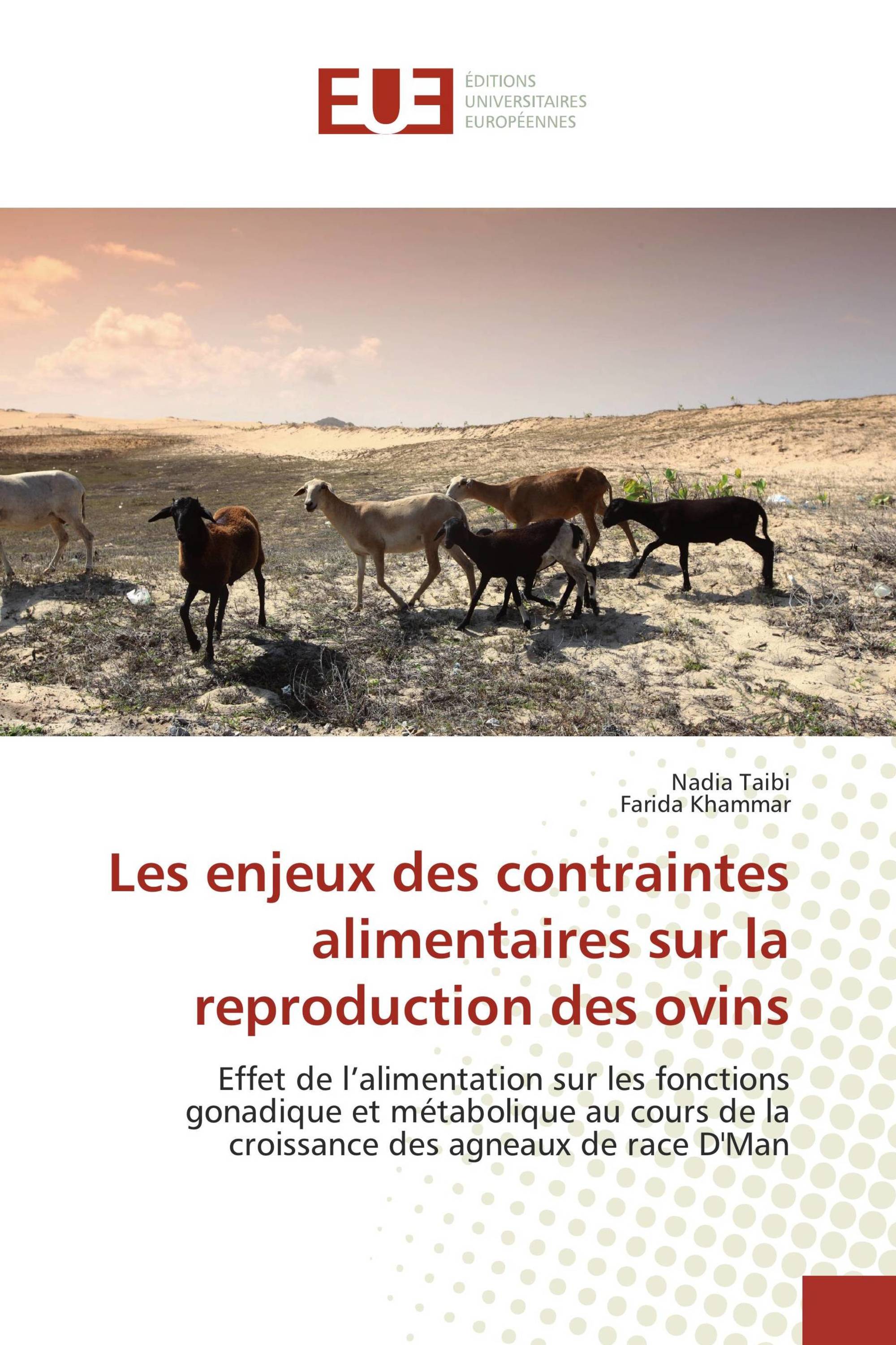 Les enjeux des contraintes alimentaires sur la reproduction des ovins