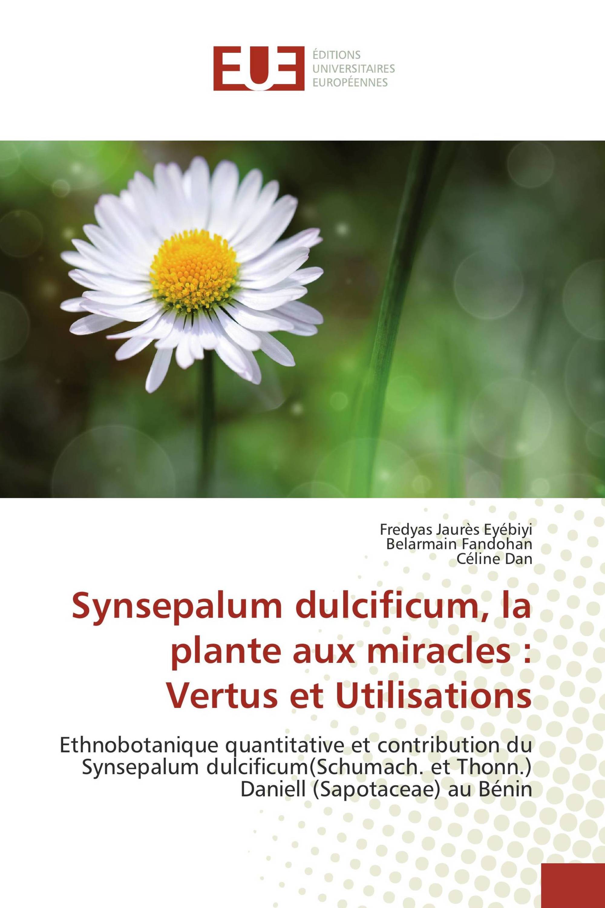 Synsepalum dulcificum, la plante aux miracles : Vertus et Utilisations